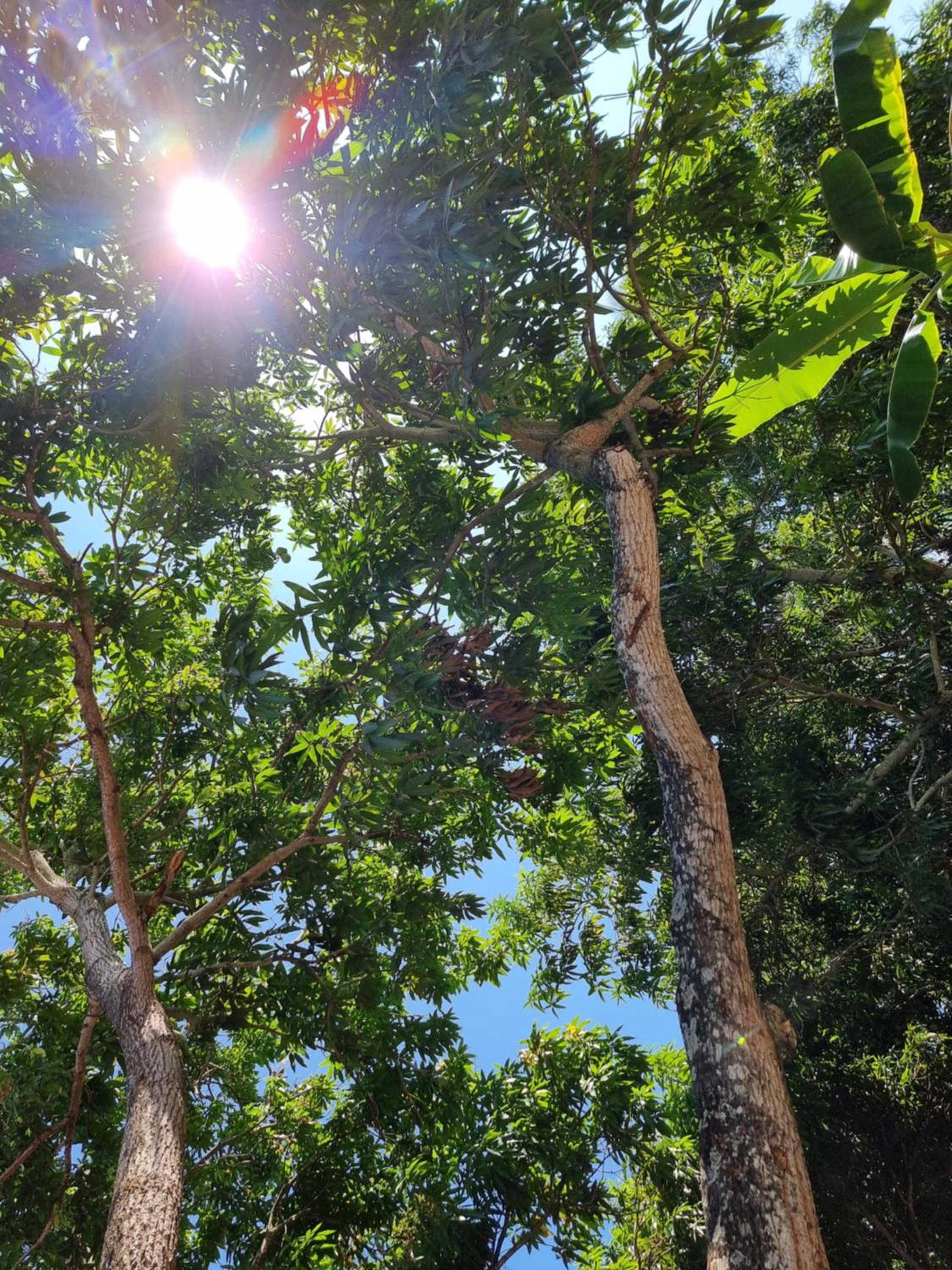 Finca Agroturística La Sultana