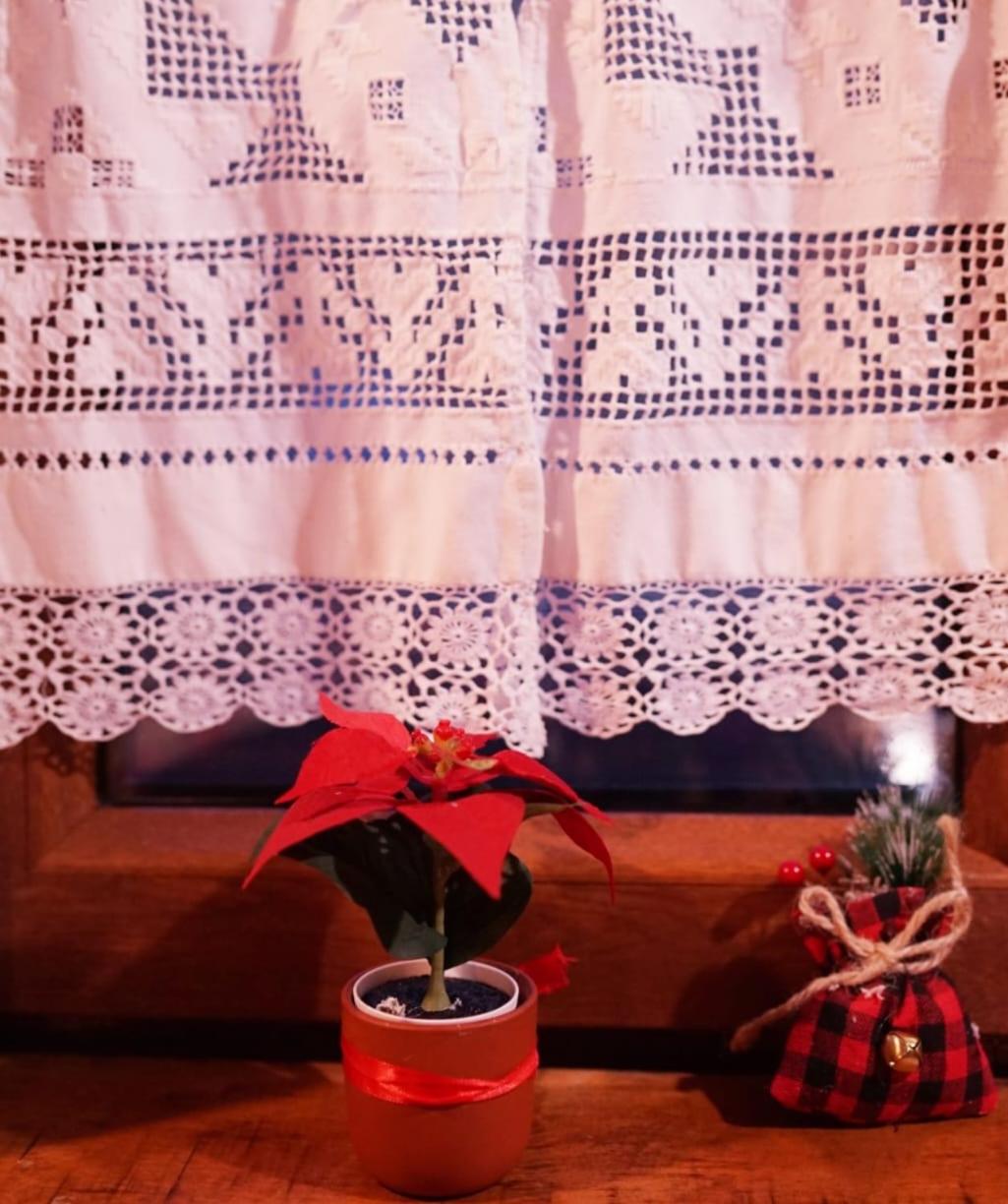 Cabana Staier