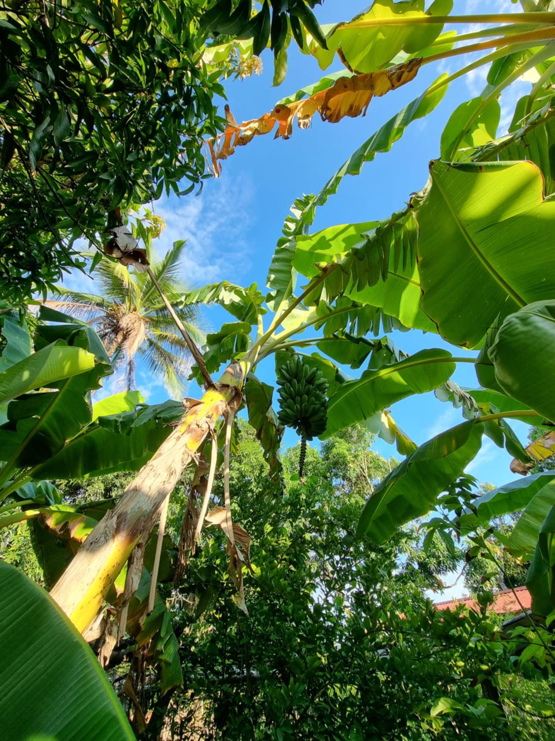 Finca Agroturística La Sultana