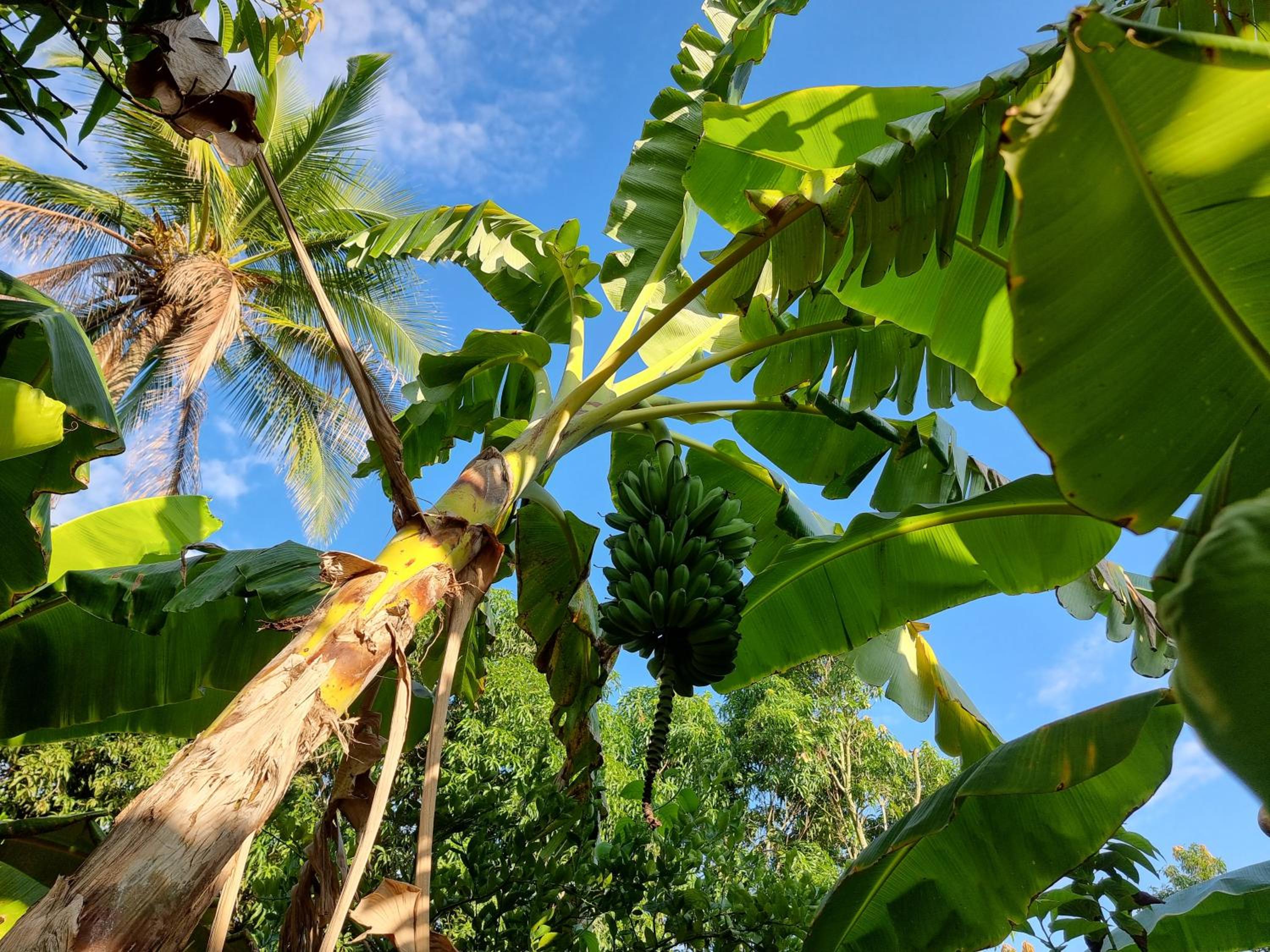 Finca Agroturística La Sultana