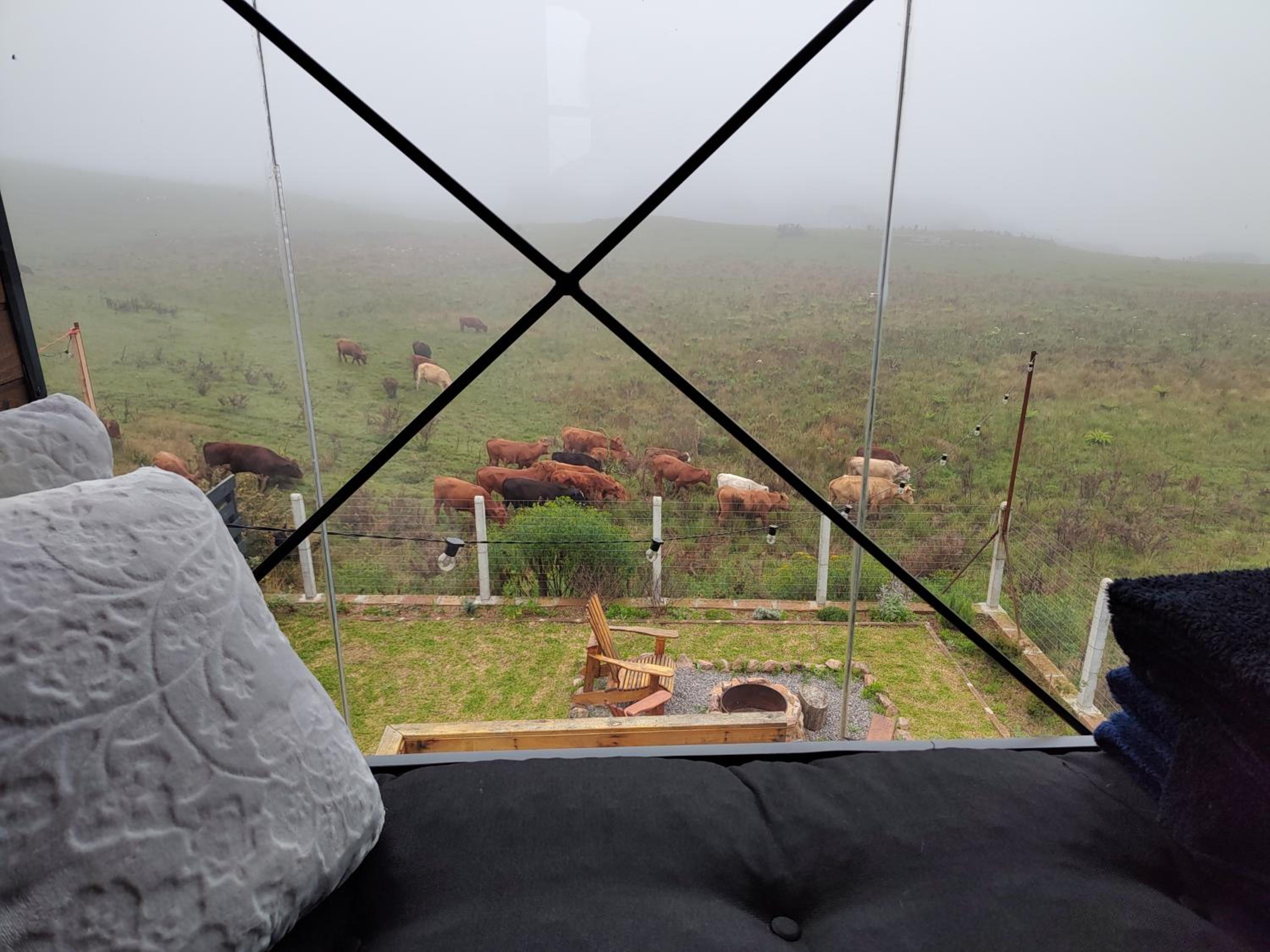 Cabana Cambará