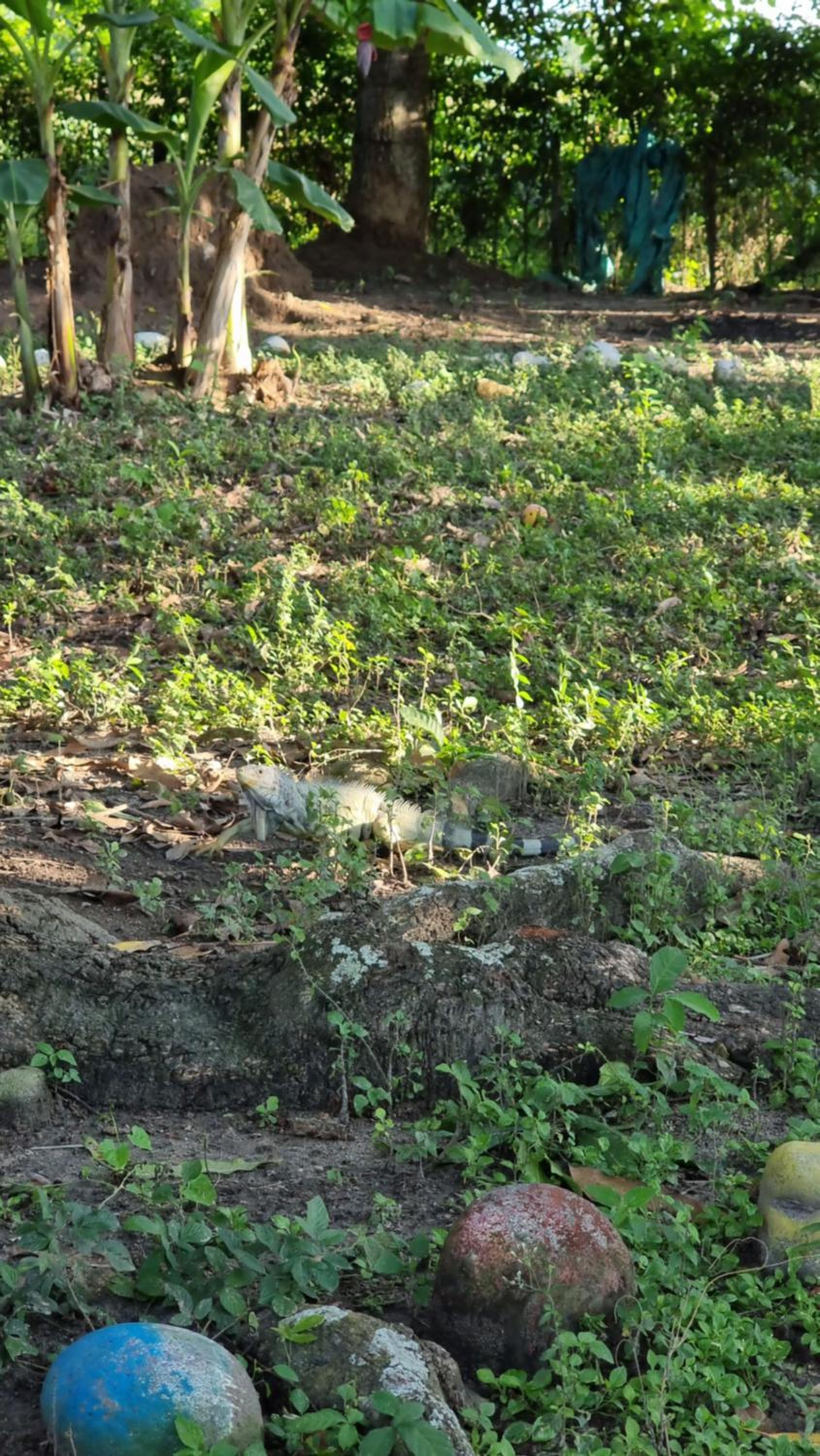 Finca Agroturística La Sultana