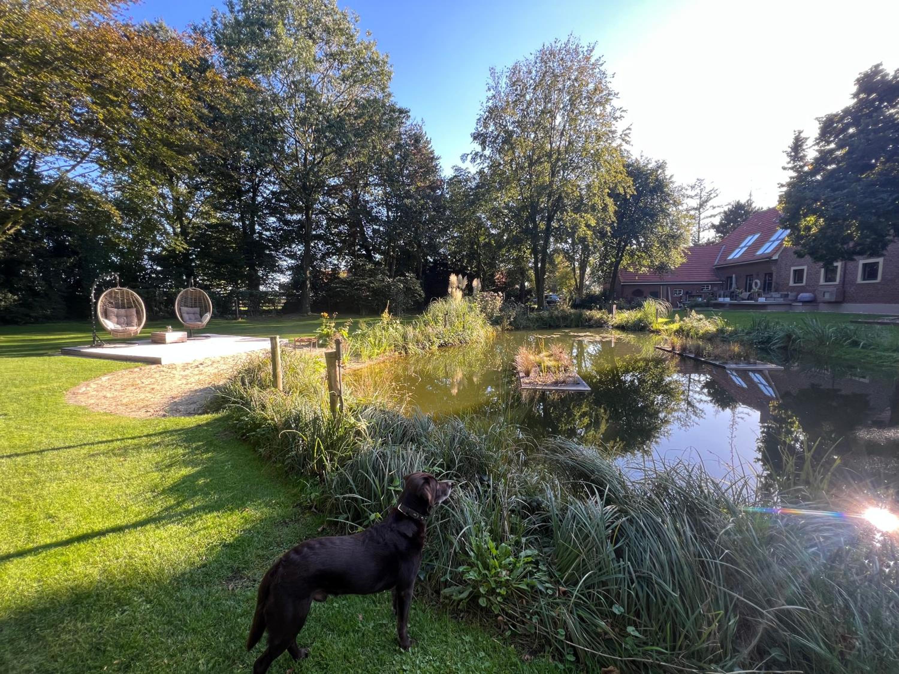 Photo 21