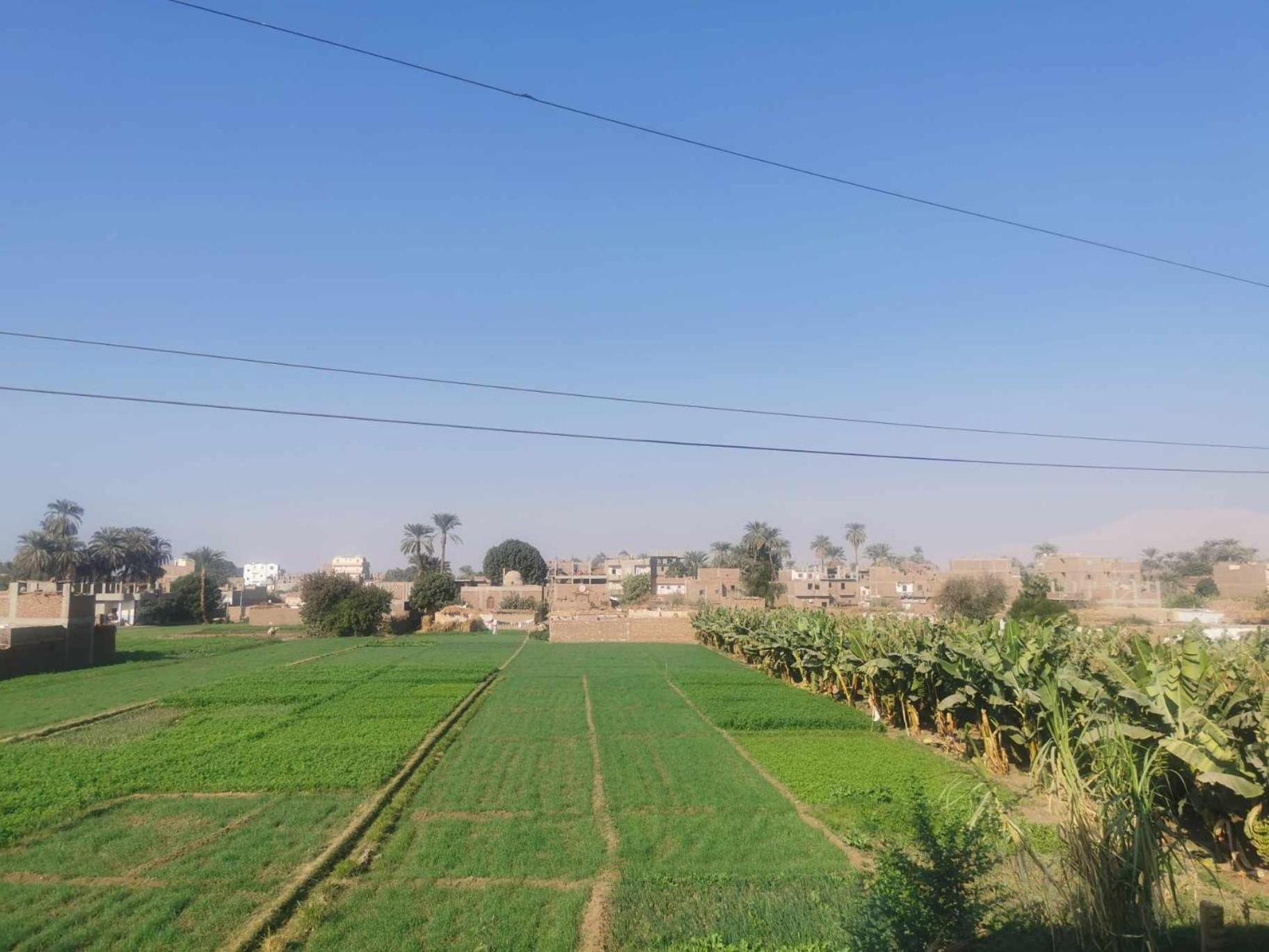 Dream Garden Luxor