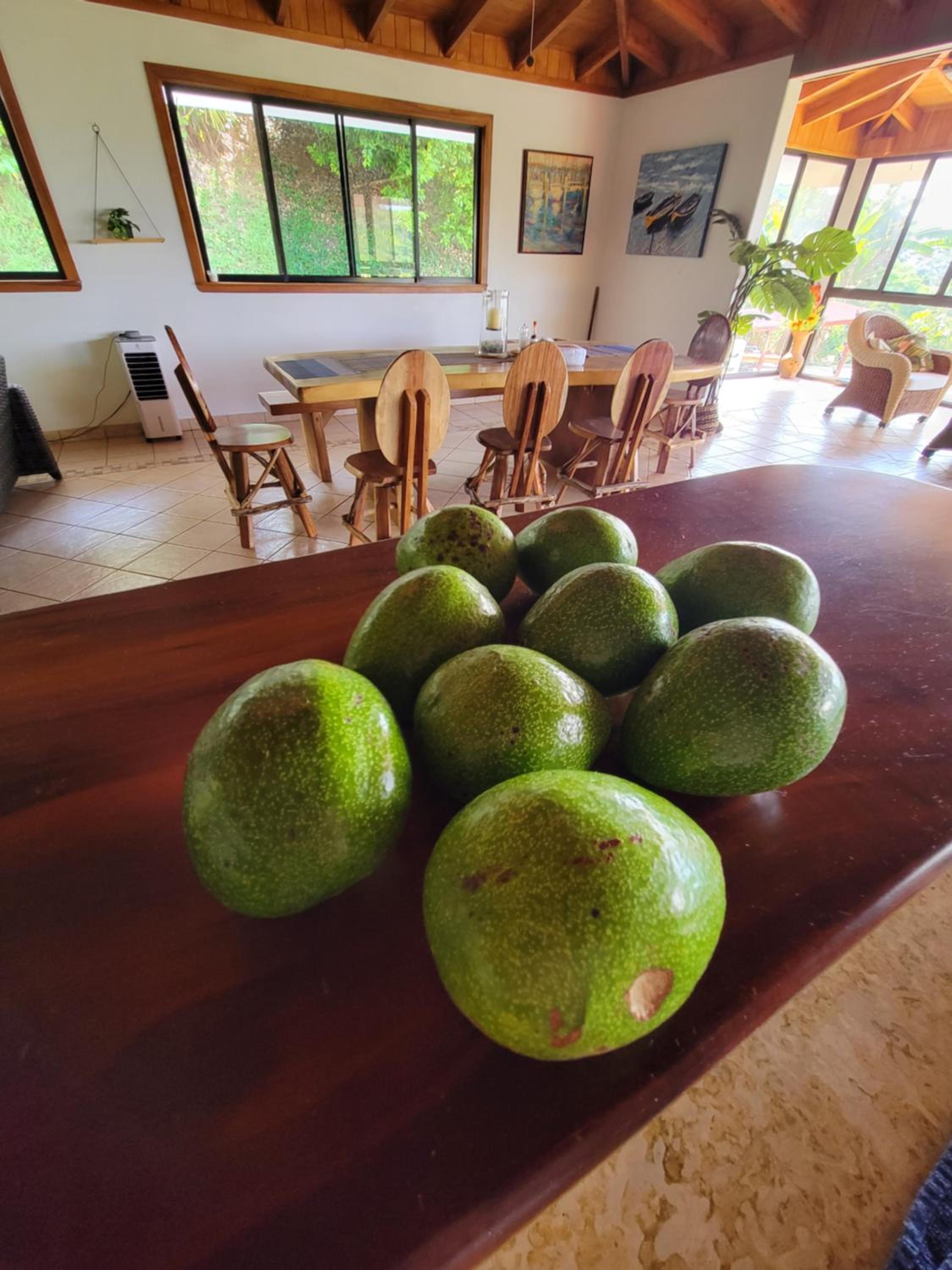 Casa Garrobo