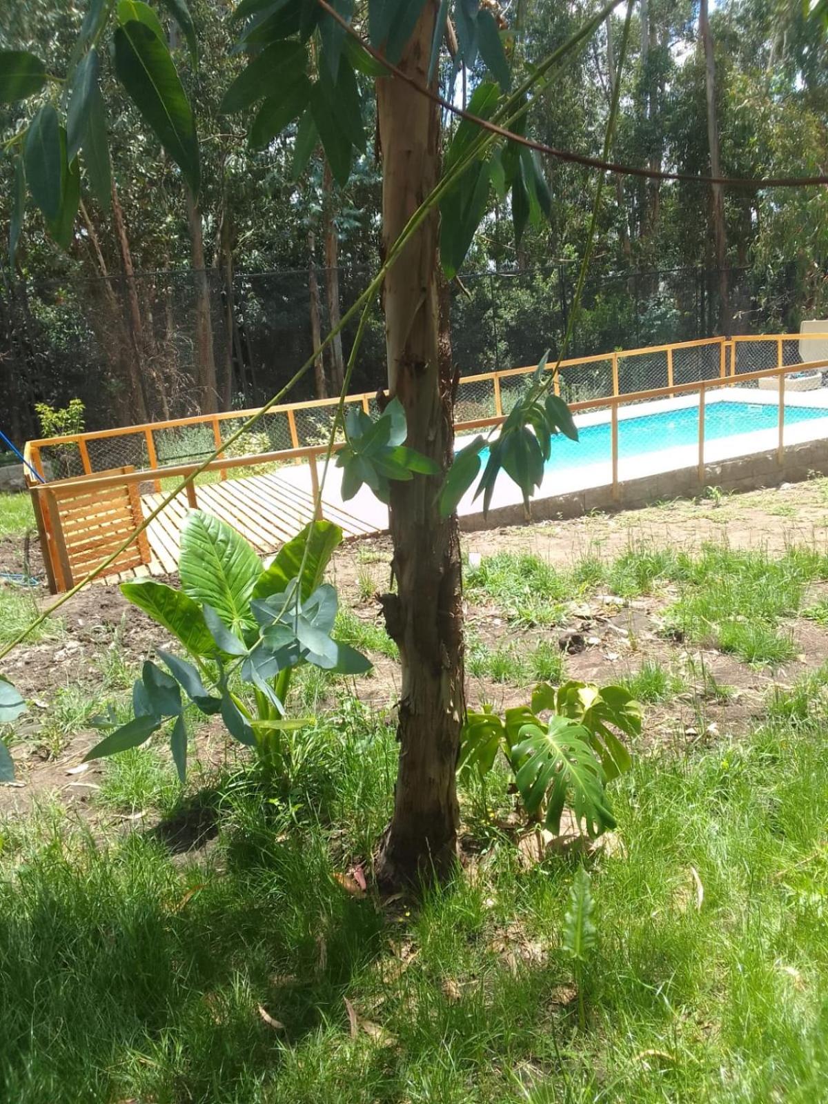 EcoHaus en la sierra