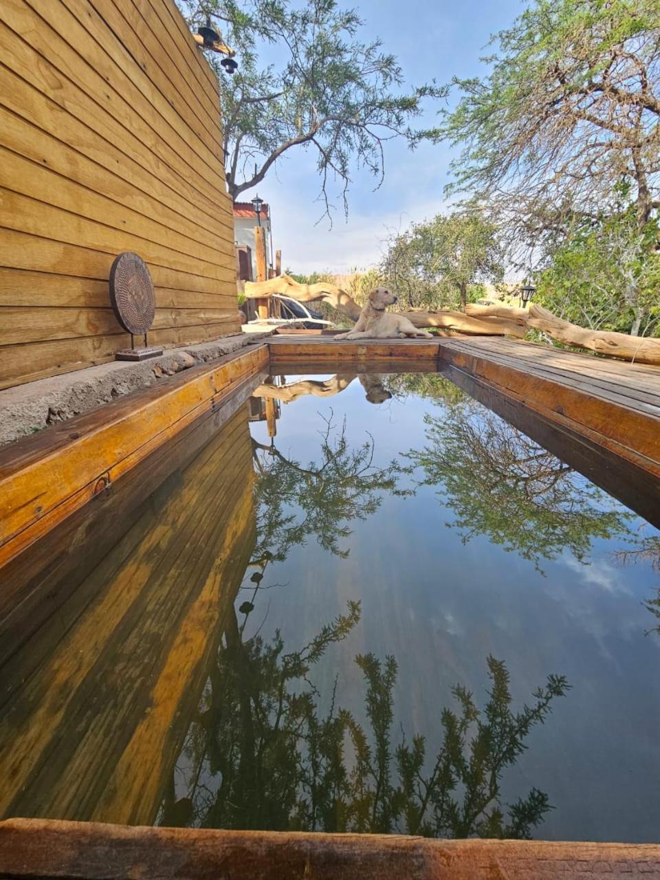 Anka Lodge Quitor