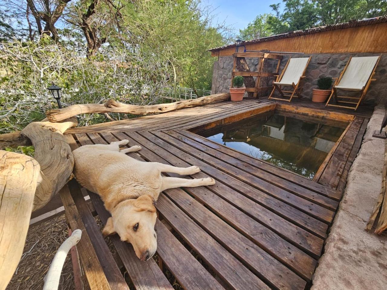 Anka Lodge Quitor