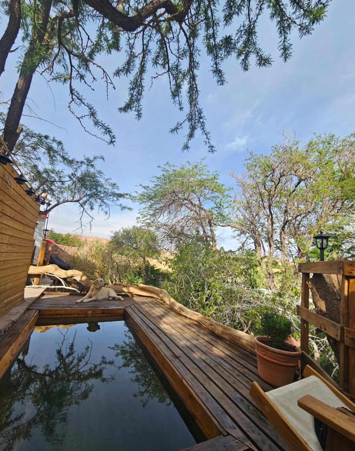 Anka Lodge Quitor