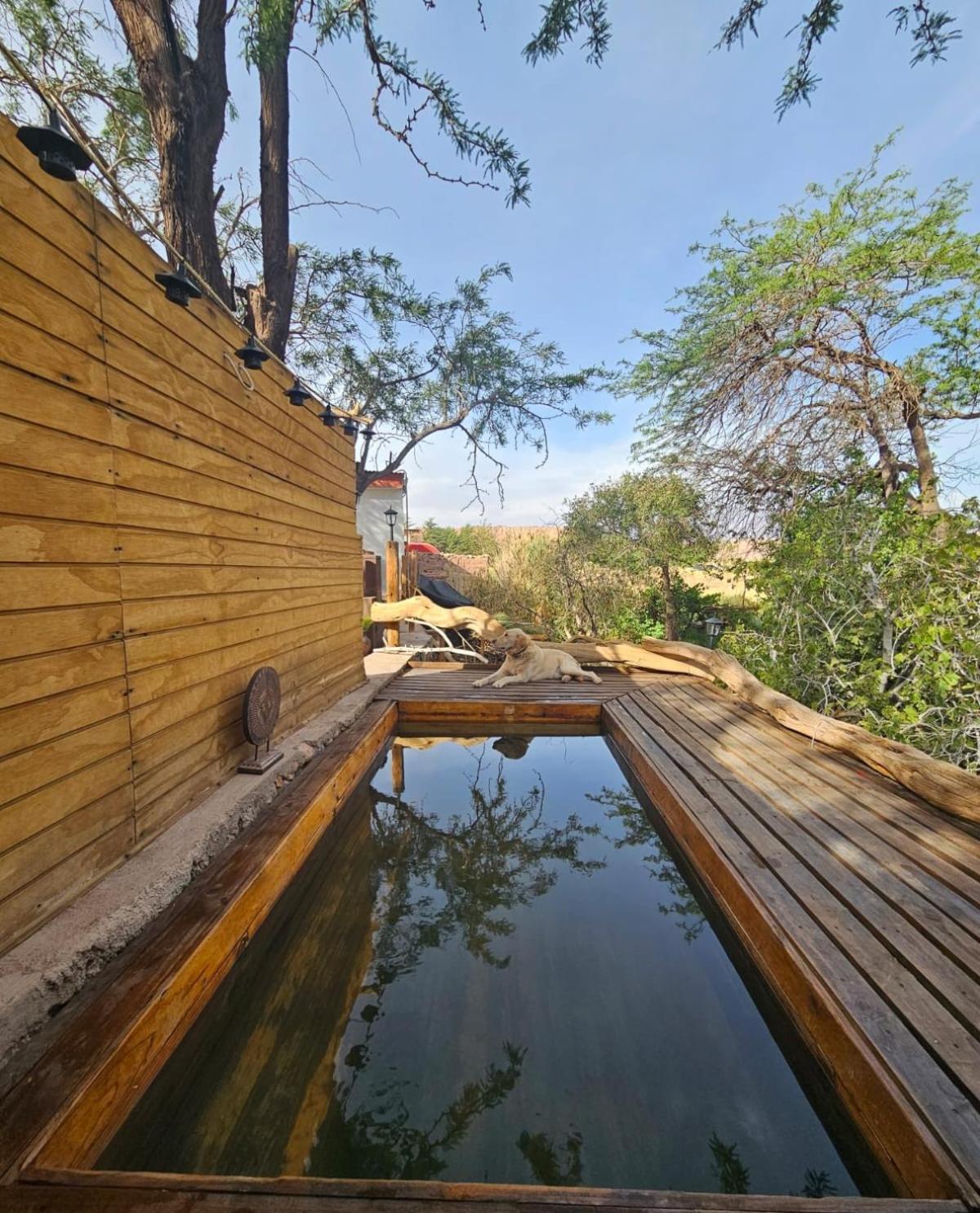 Anka Lodge Quitor