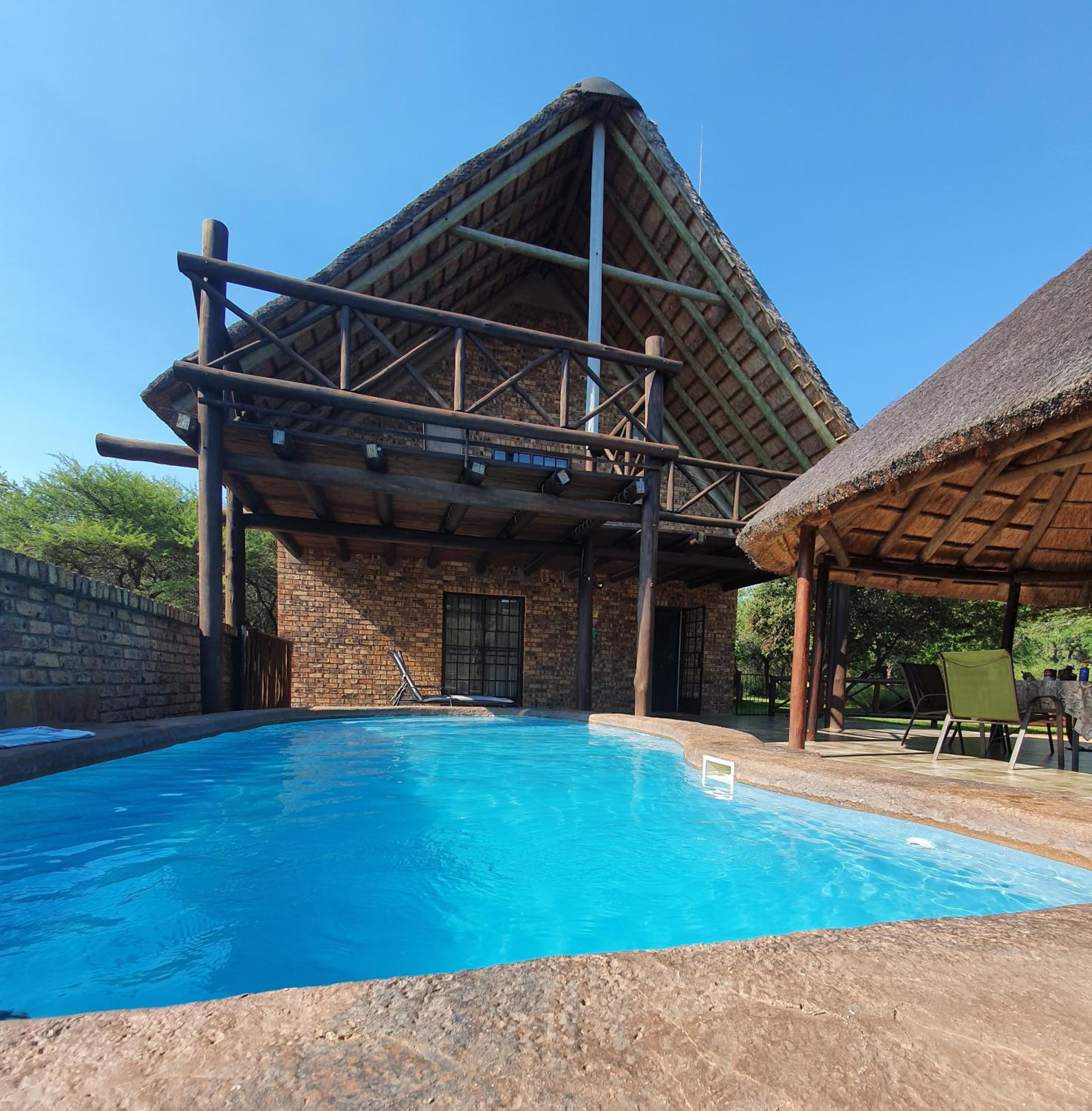 Giraffe plains view 2