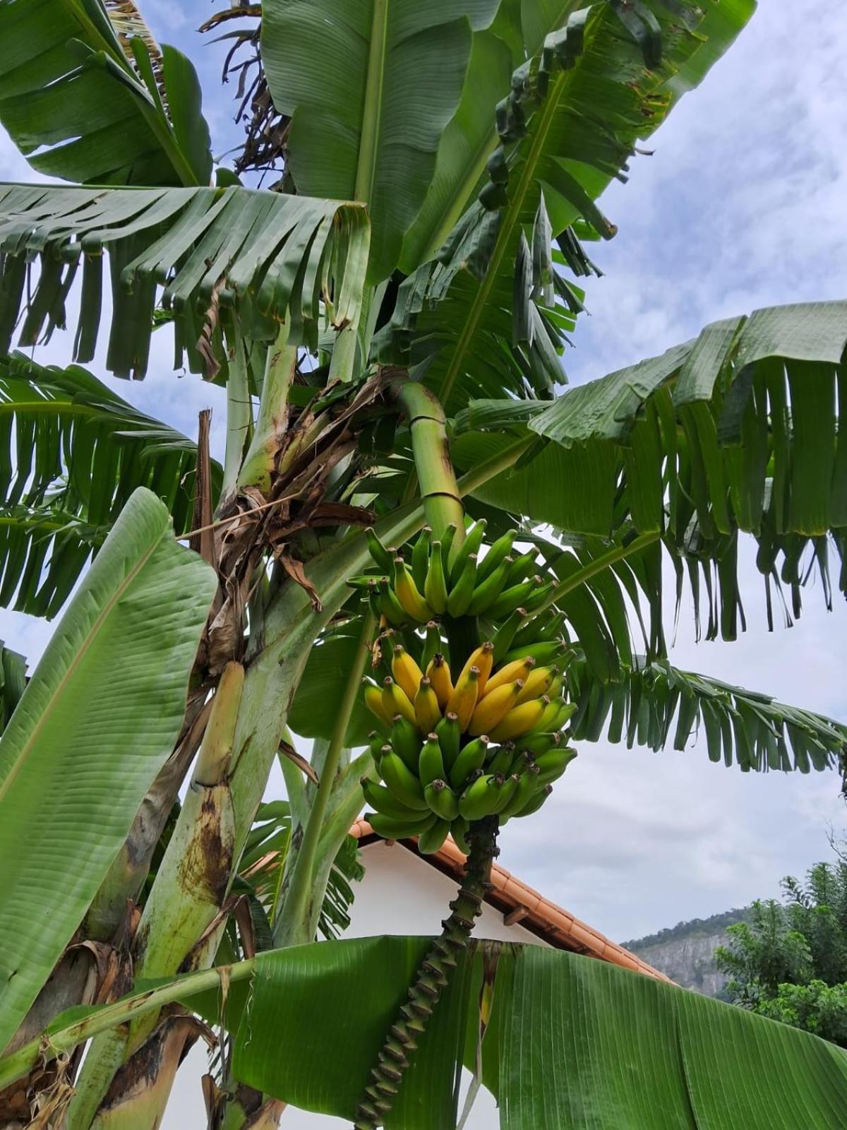Recanto Ganesha seu paraíso na praia, no Recanto de Itaipuaçu ao lado de Itacoatiara