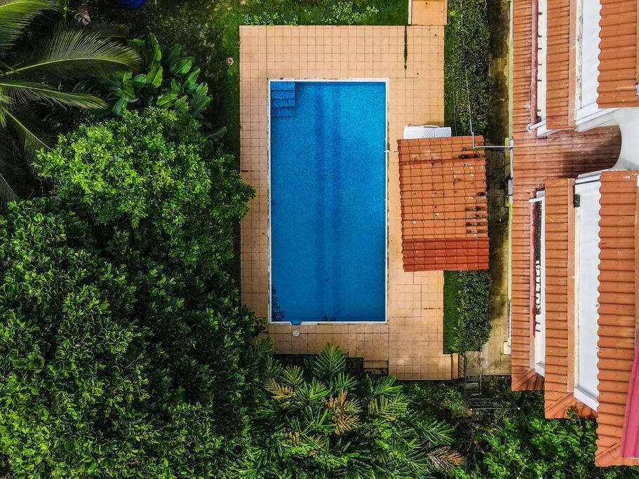 Seaside Apartment near Bocas Town view 4