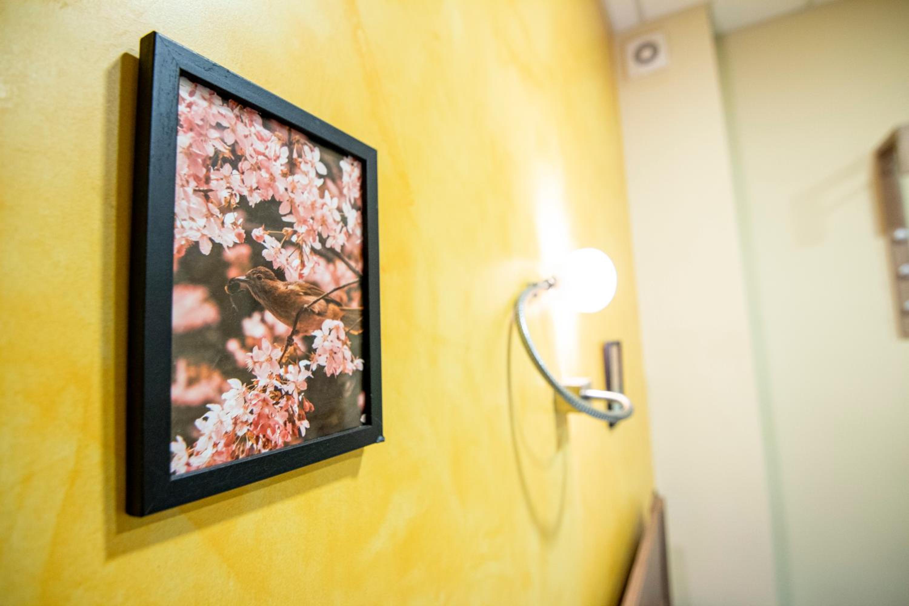 Cattleya Apartment in Sofia Center