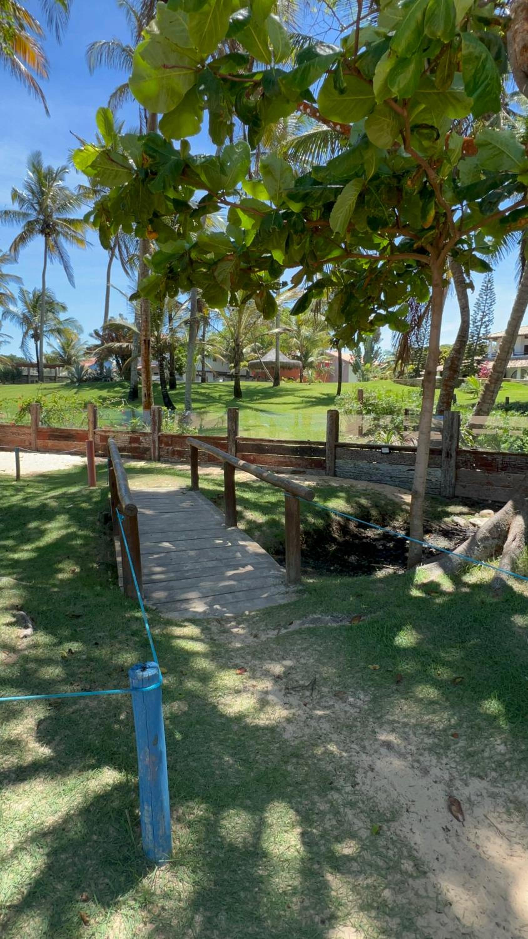 Vila iva