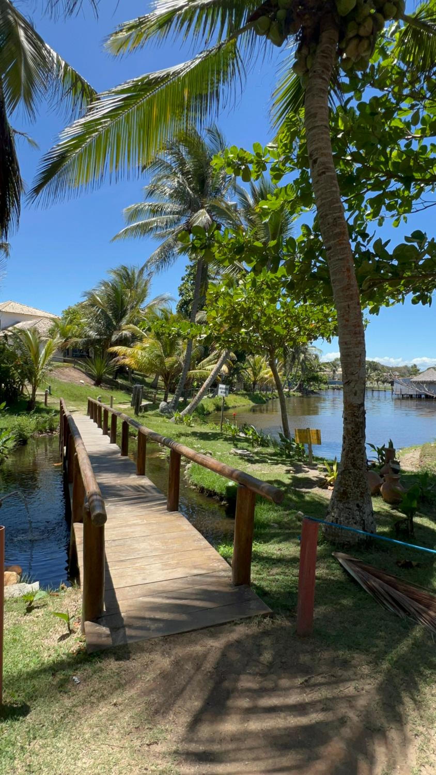 Vila iva