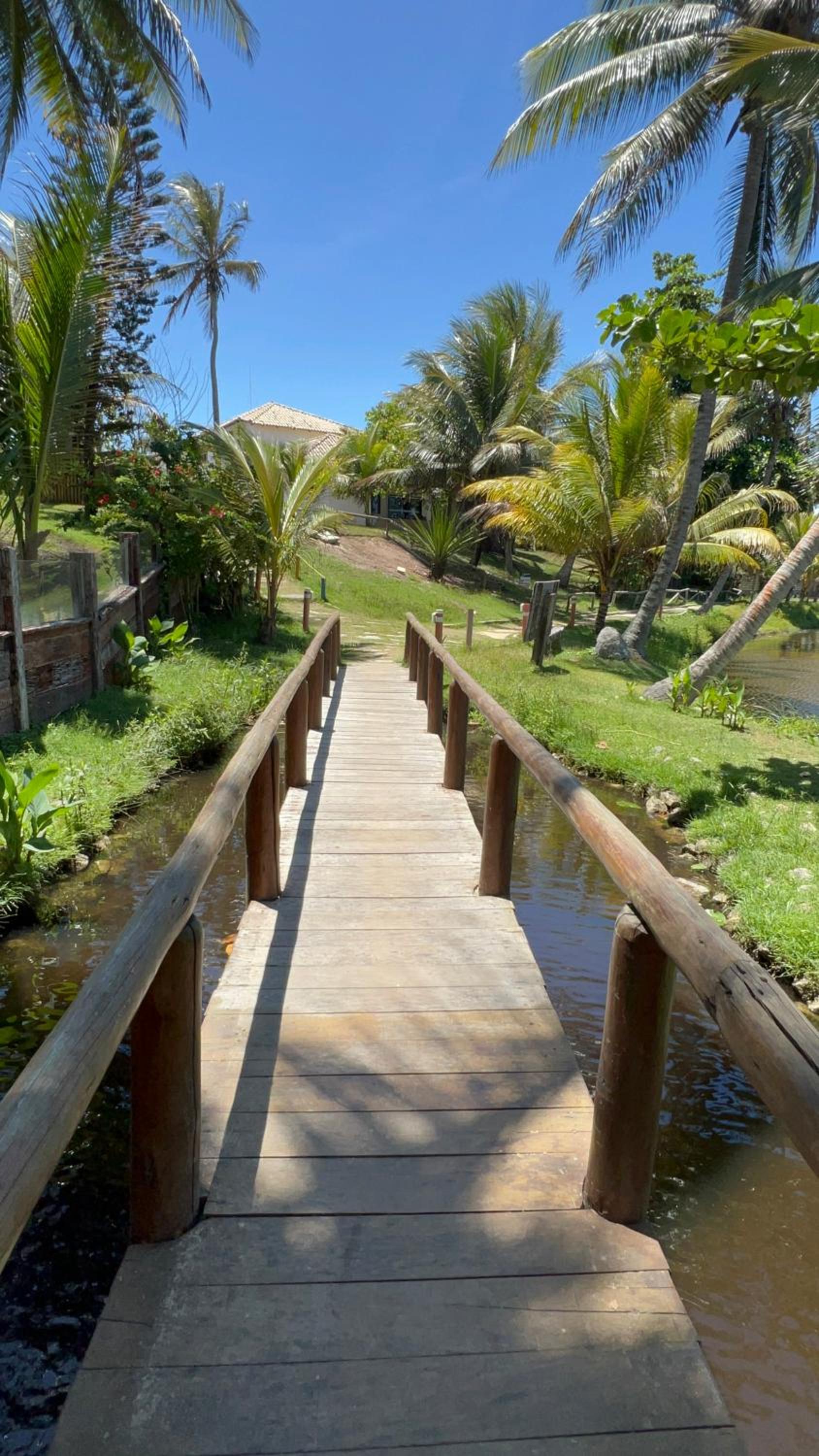 Vila iva
