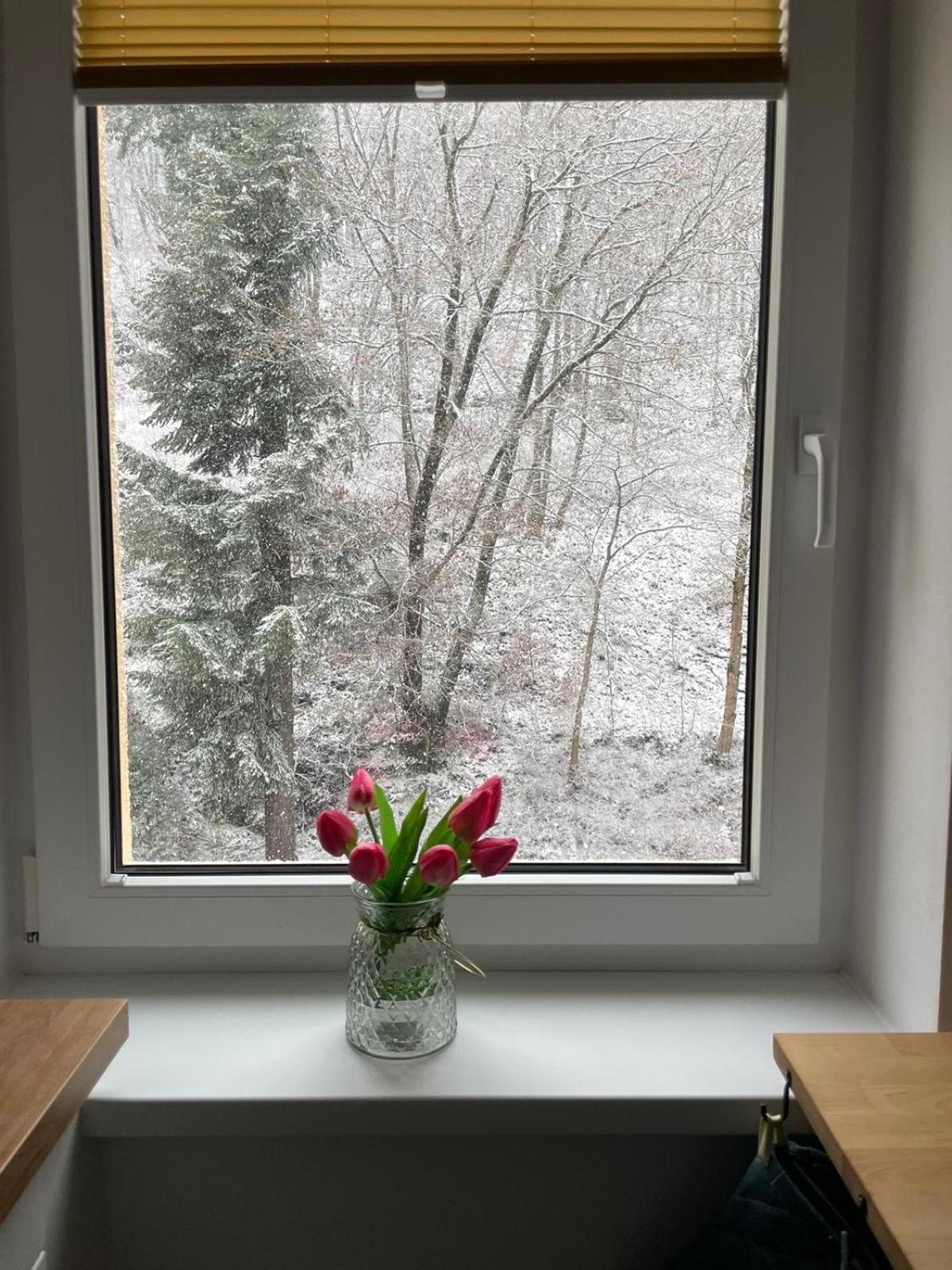 Apartmán Claudia - Rezidence K Lanovce
