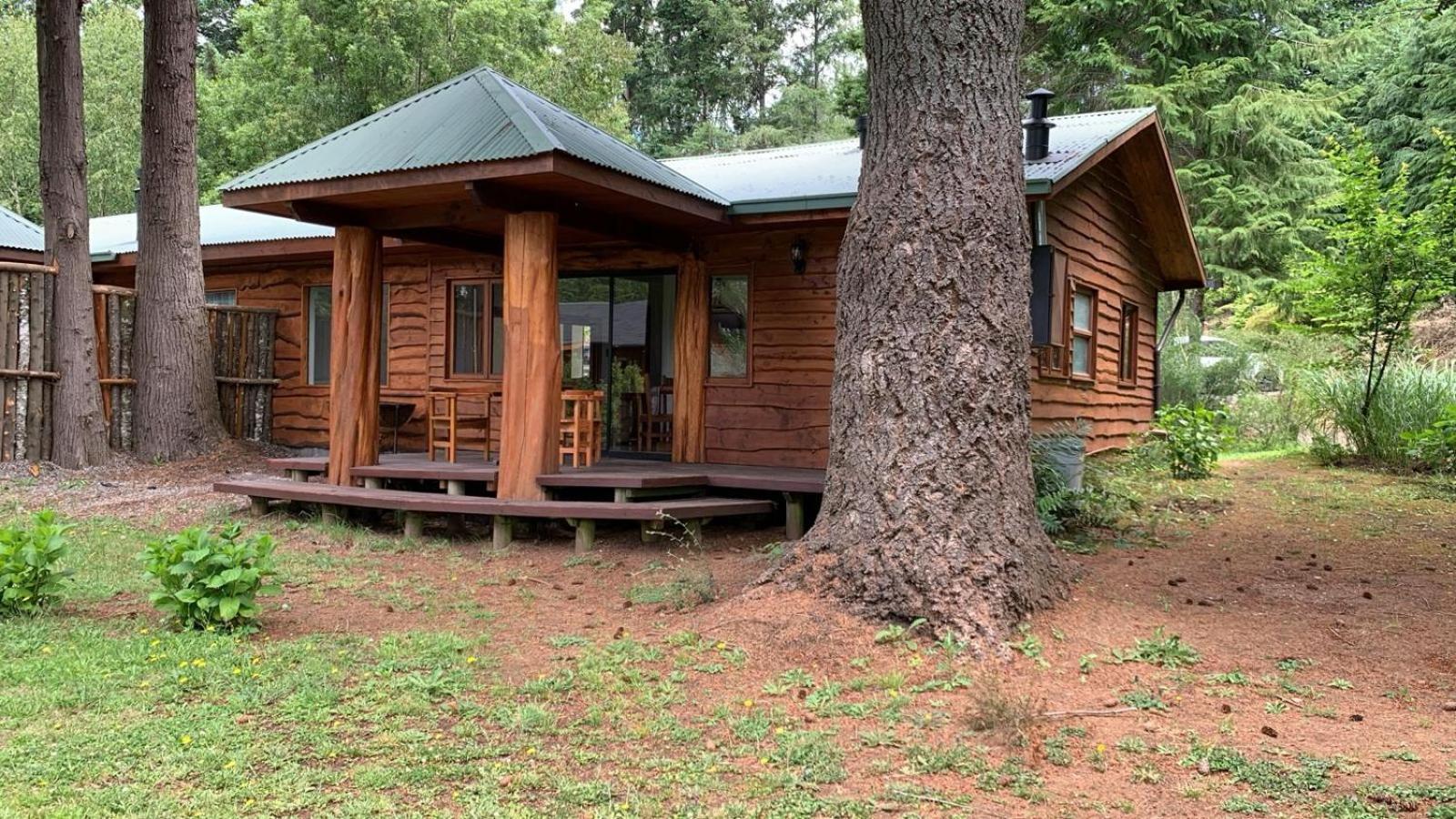Cabanas Mapulauquen