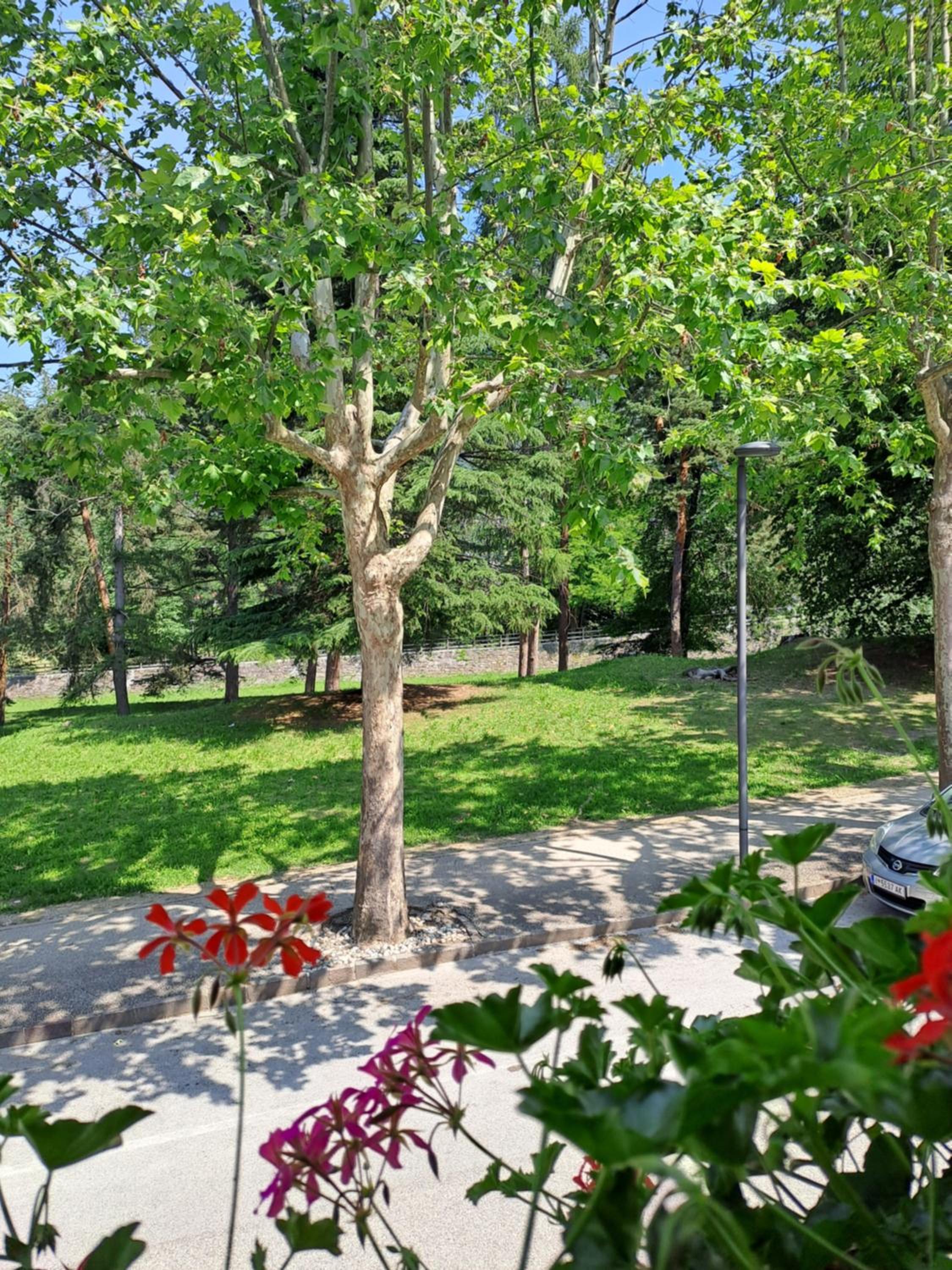 Photo 26