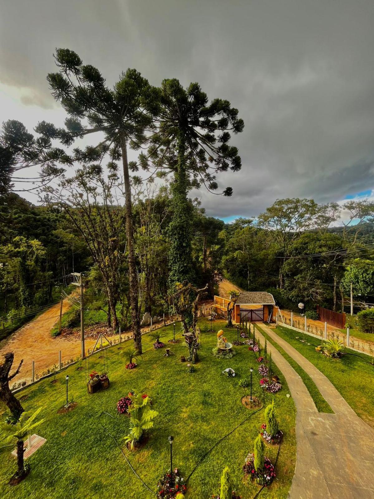 Paraiso das Araucárias