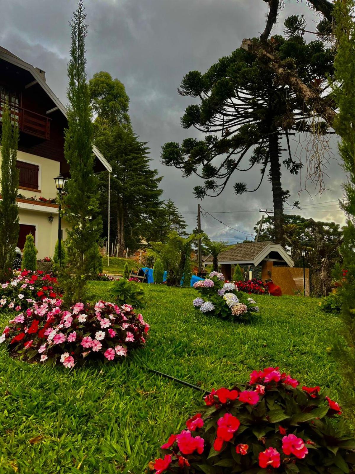 Paraiso das Araucárias
