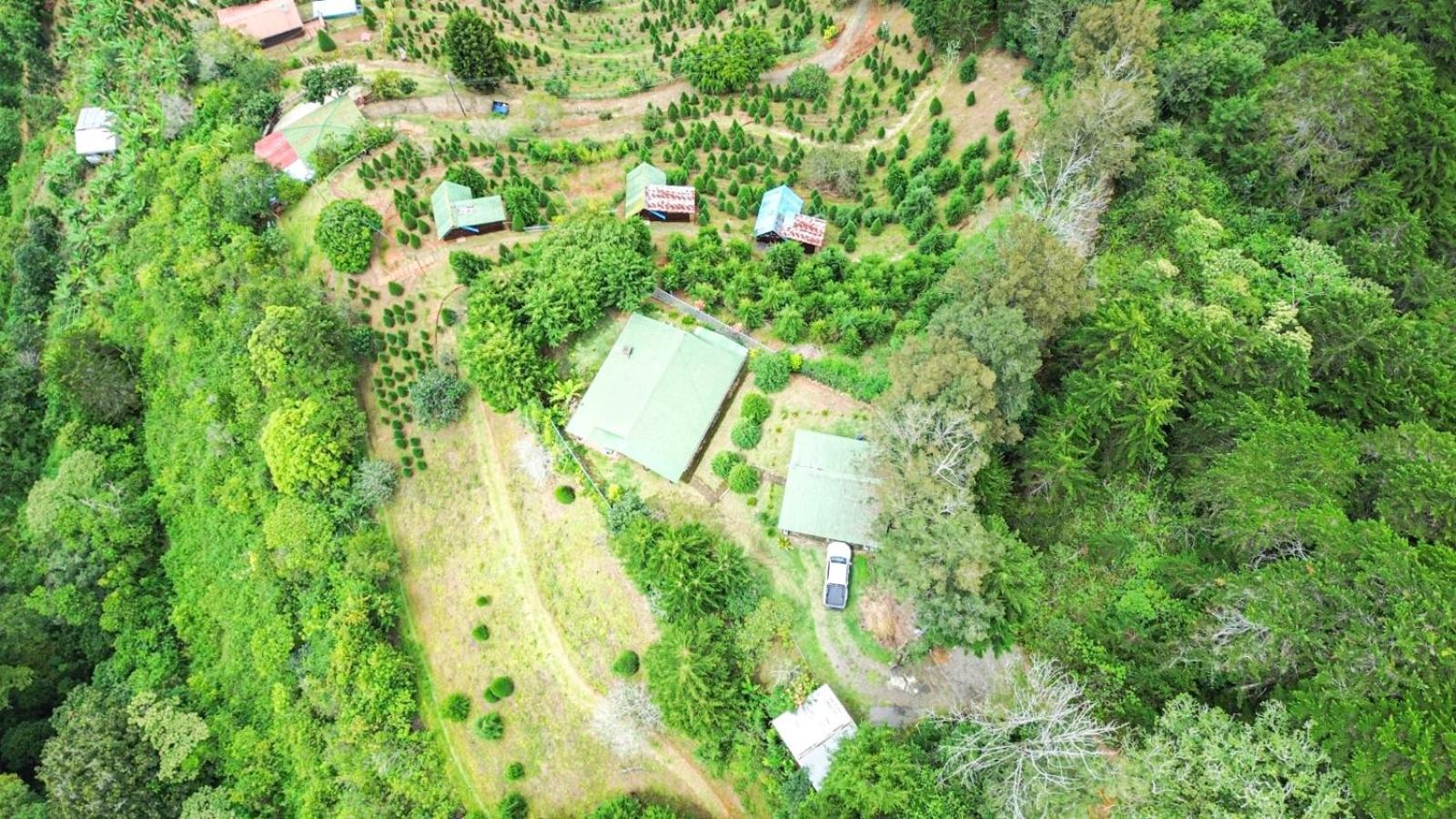 Cabaña Los Sueños Lodge