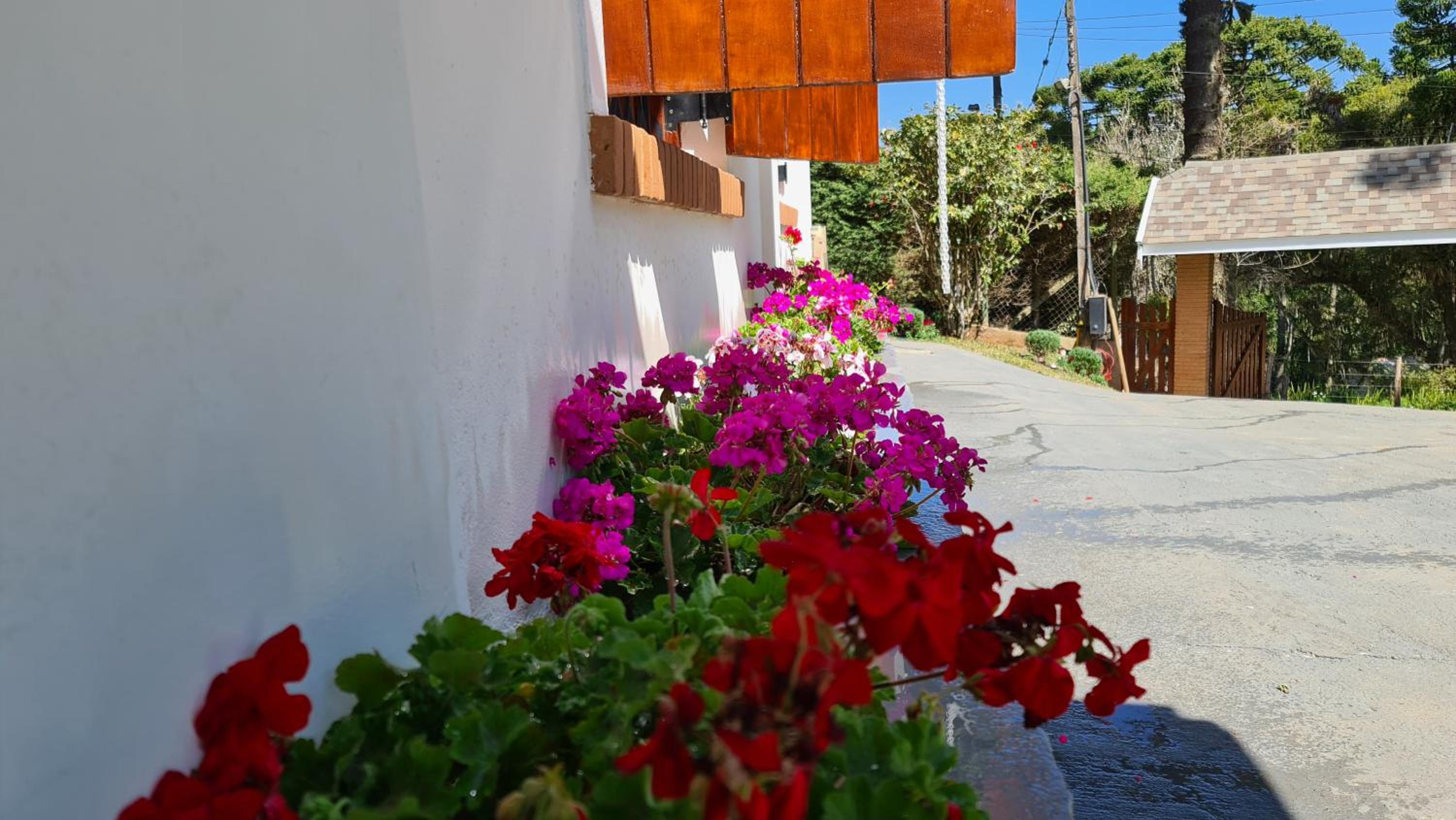 Paraiso das Araucárias
