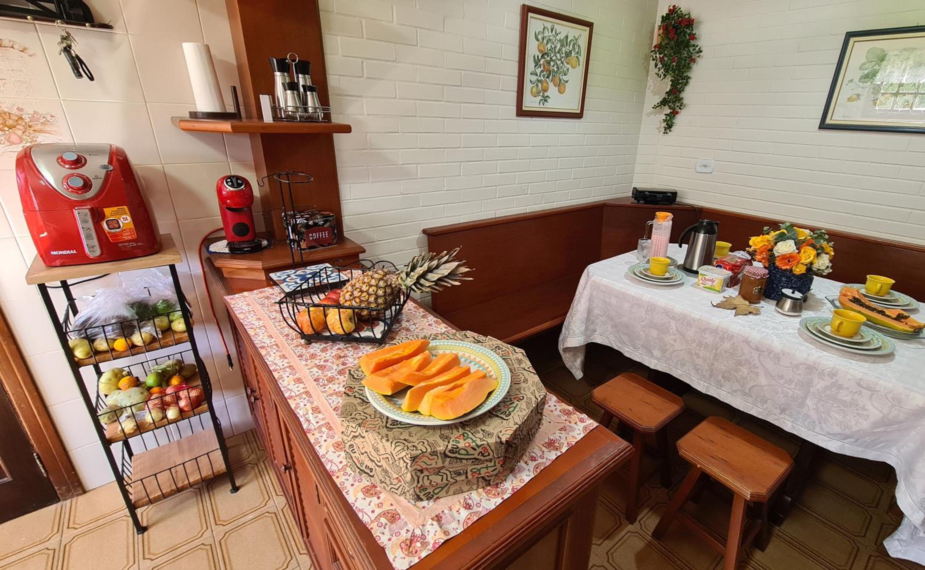 Paraiso das Araucárias