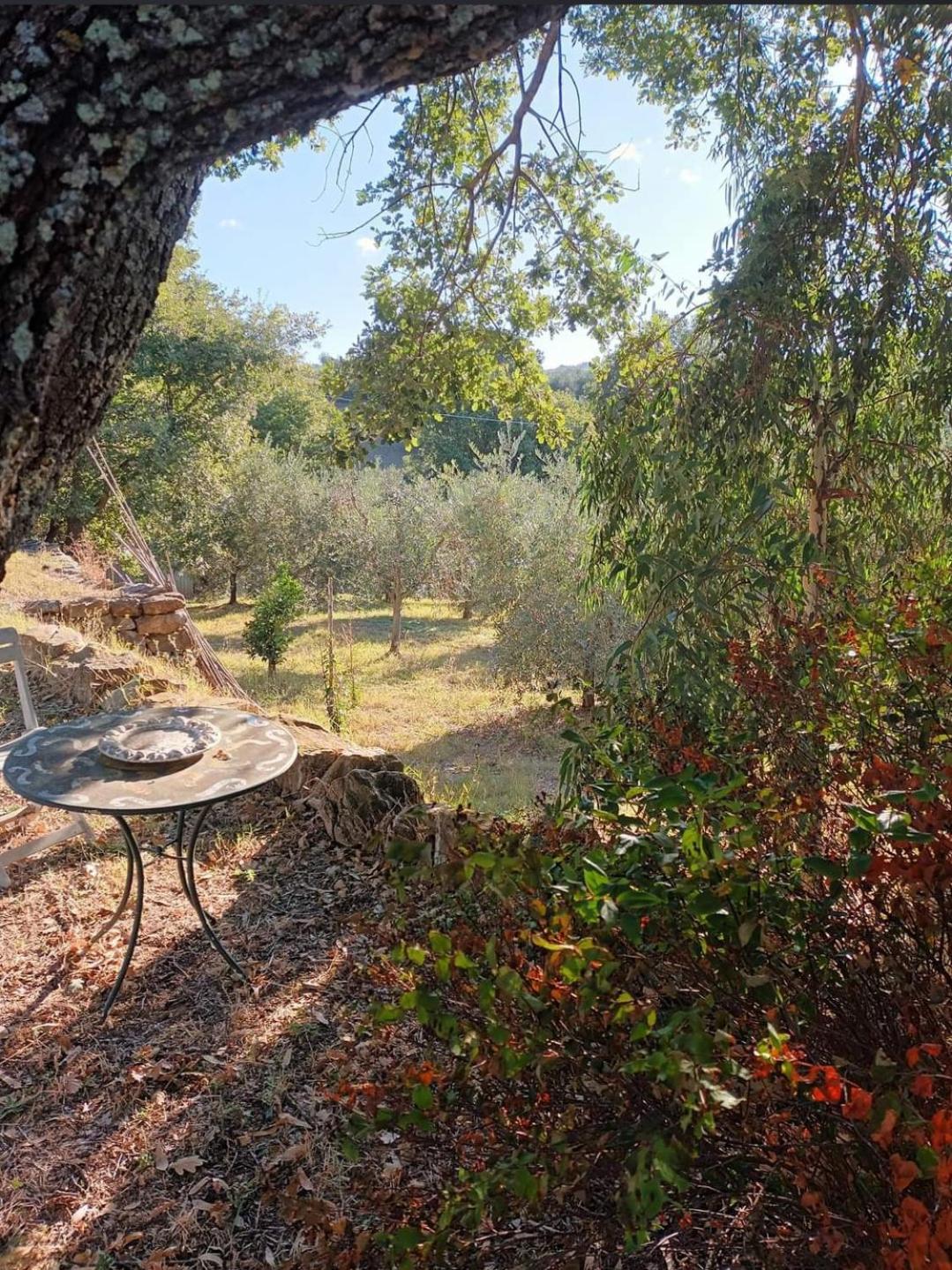 Casa in Maremma view 5