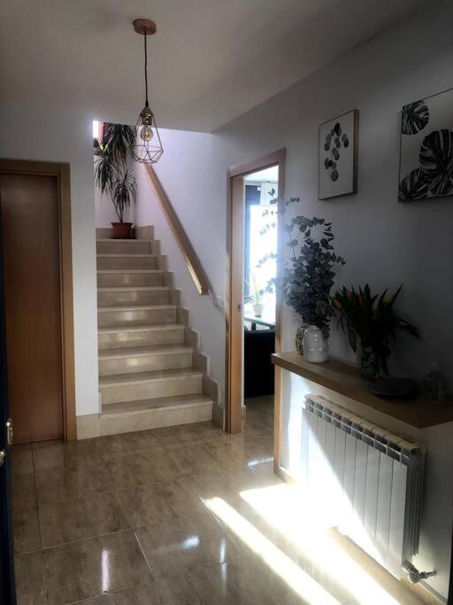 15 VENCEJOS view 3