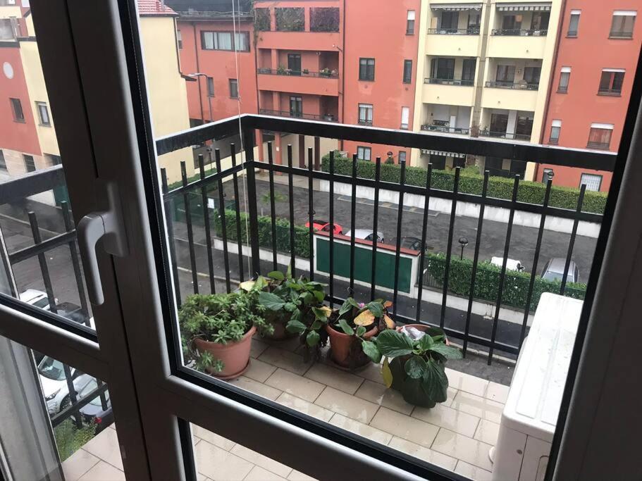 Trevi Milano