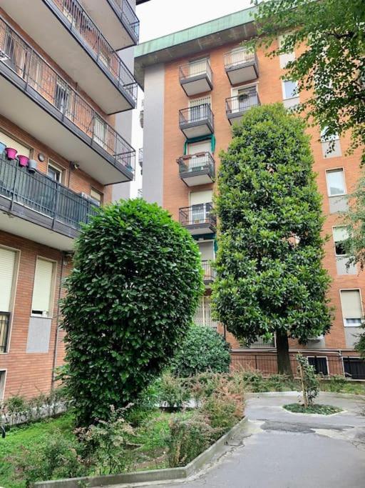 Trevi Milano
