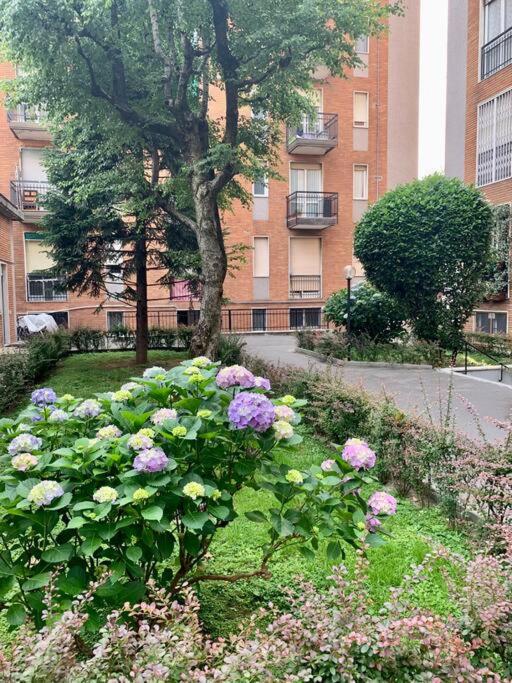 Trevi Milano
