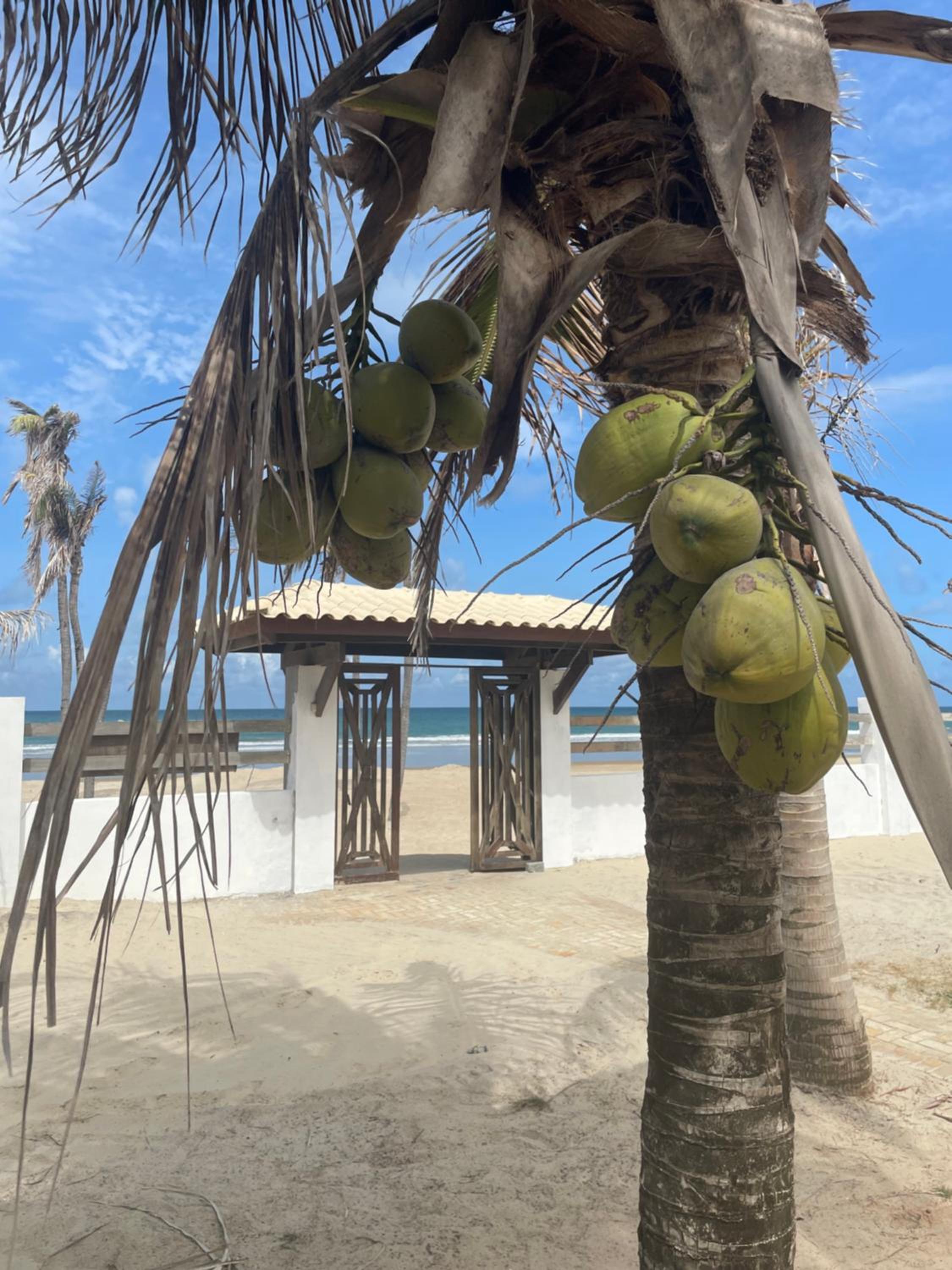 Villa Ava Kite - Guajiru