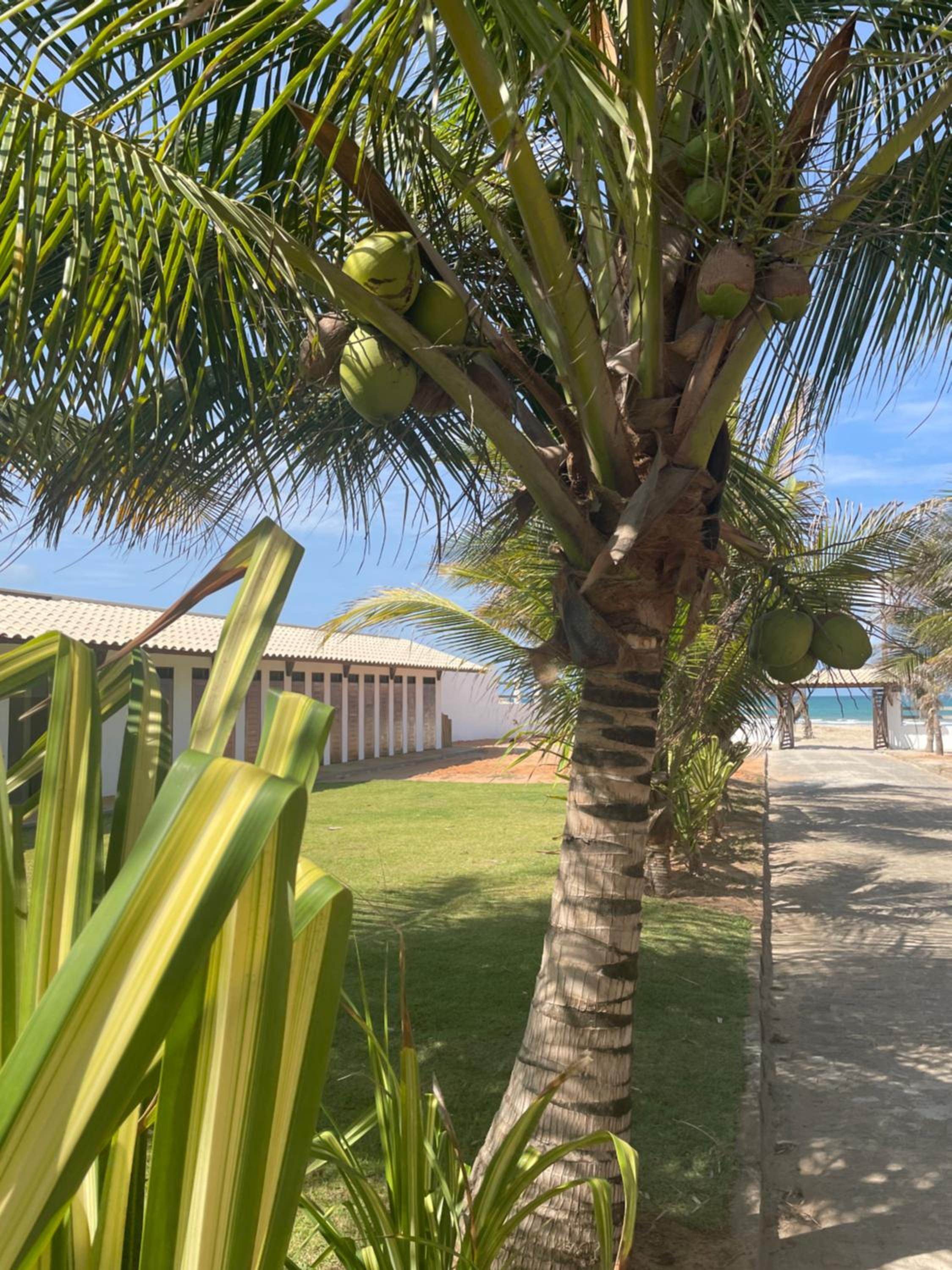Villa Ava Kite - Guajiru