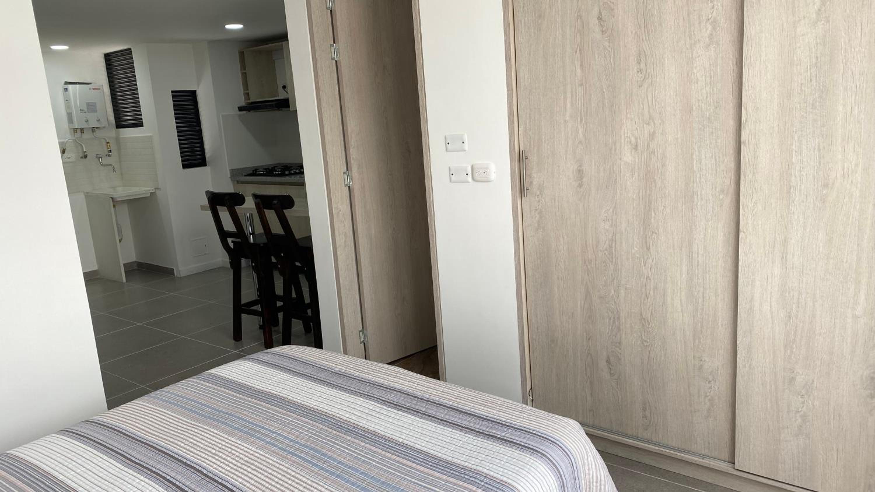 Mirla serrana 406