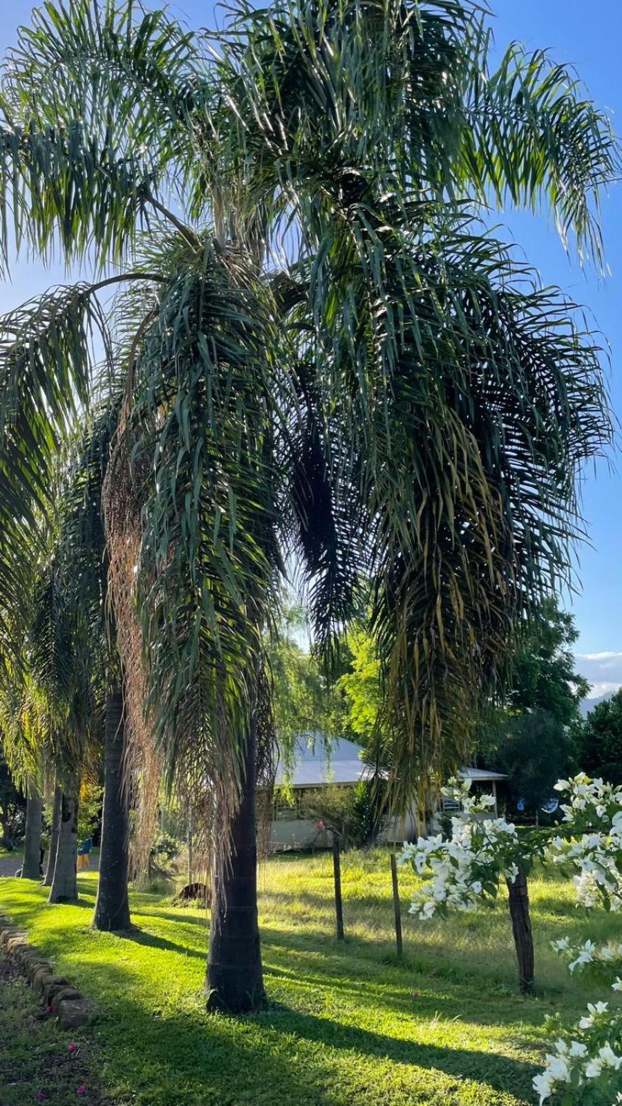 Casa de campo Quinta do Floriano