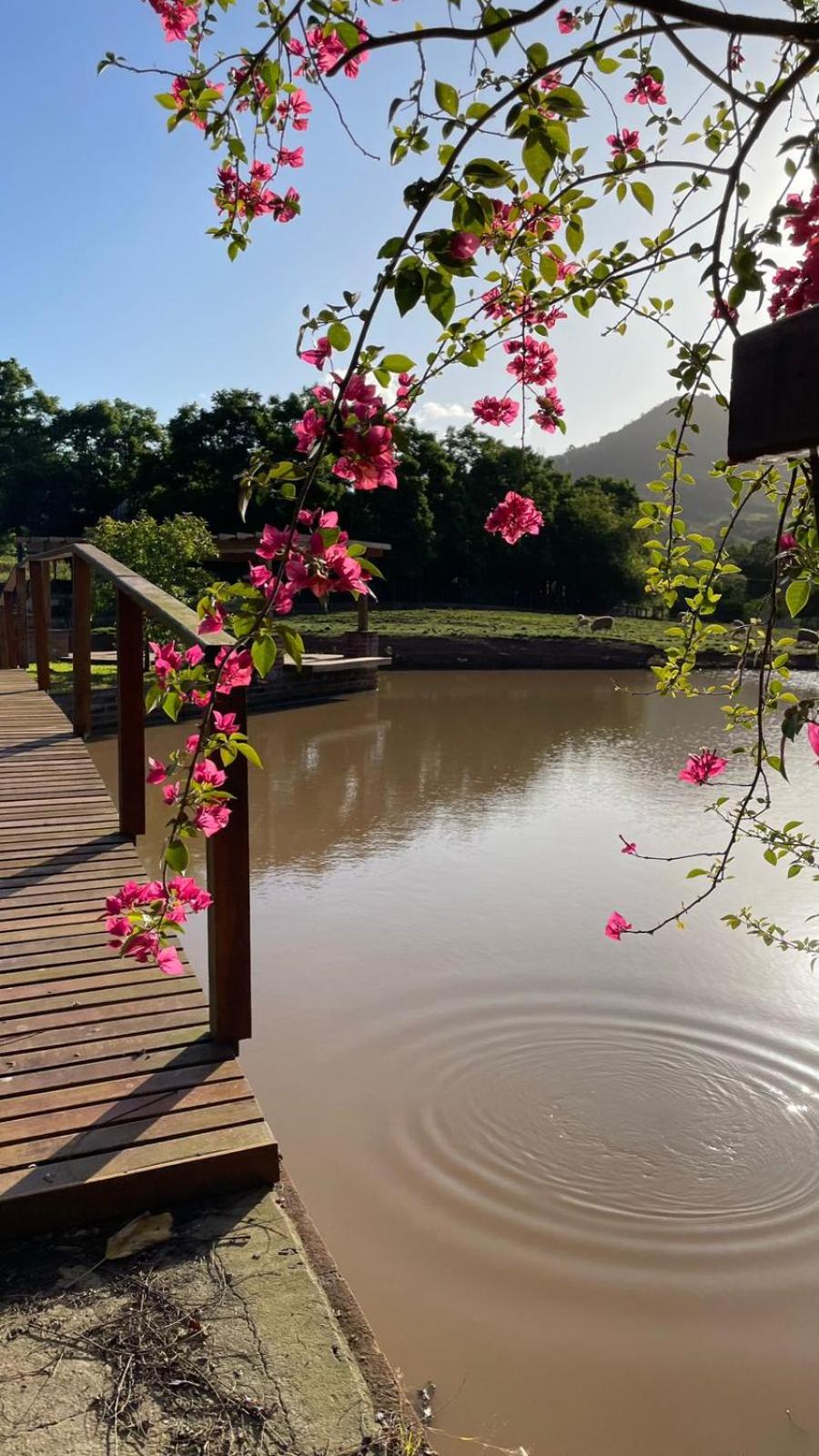 Casa de campo Quinta do Floriano
