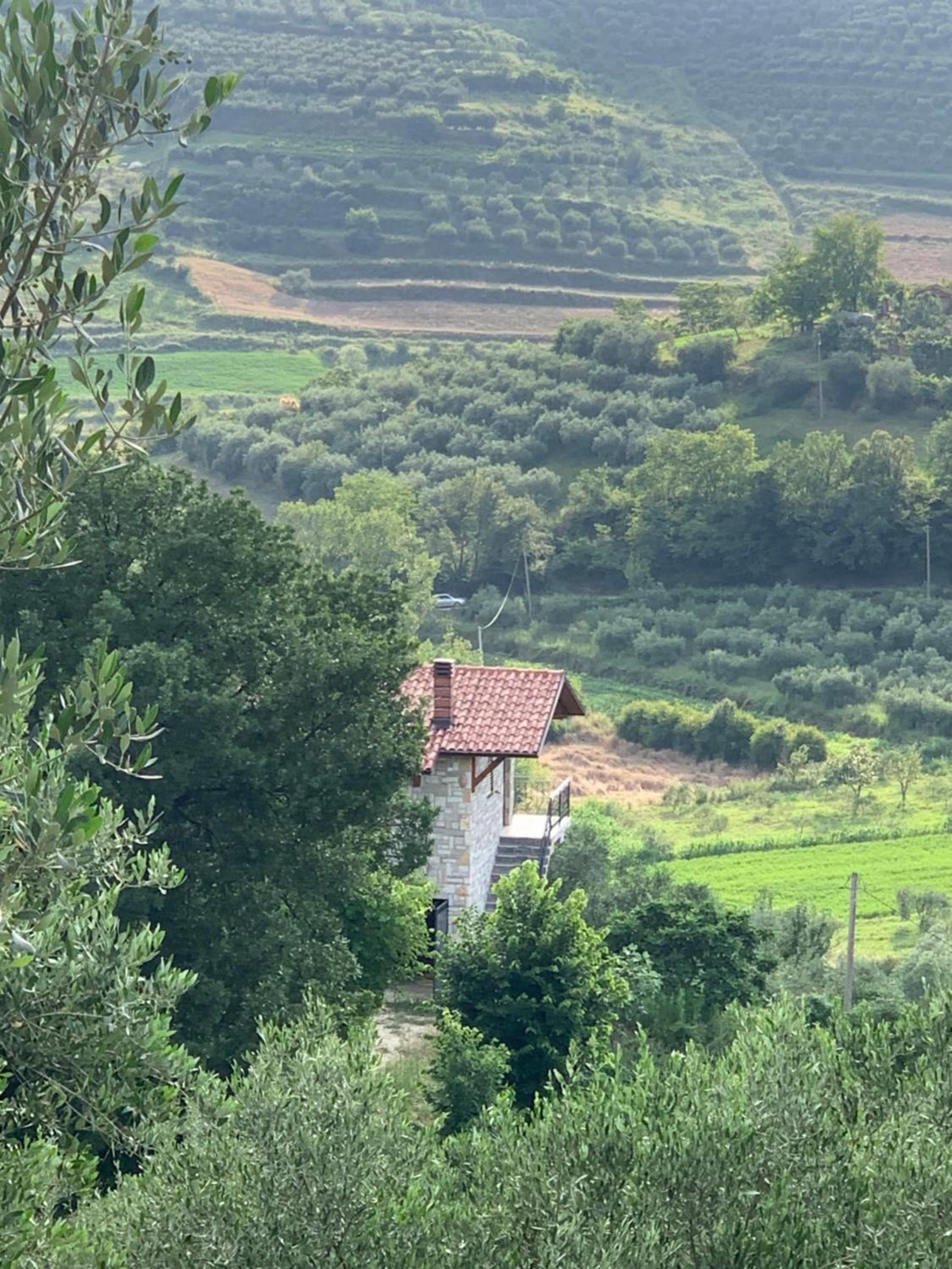 Shehu Villa