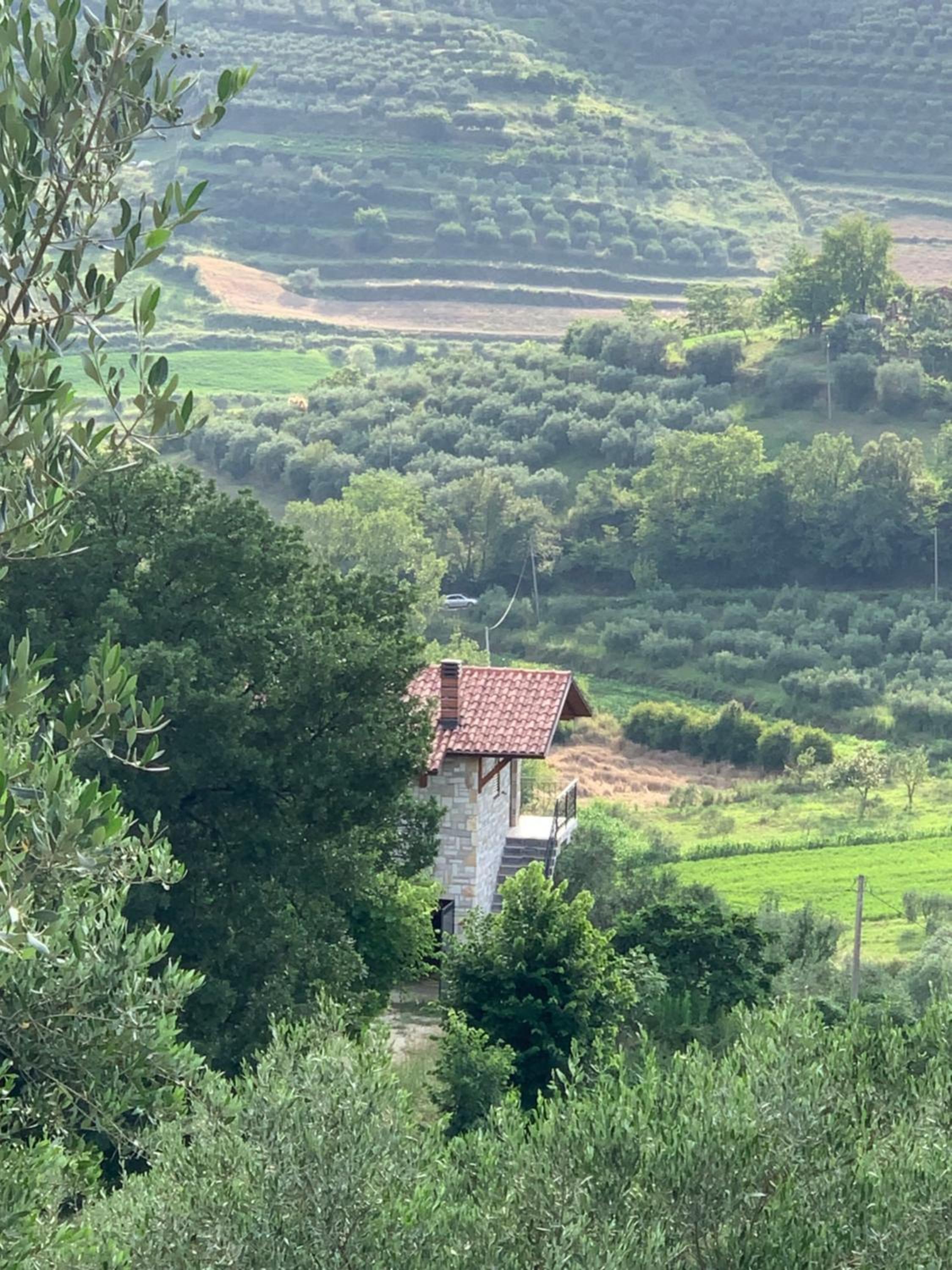 Shehu Villa