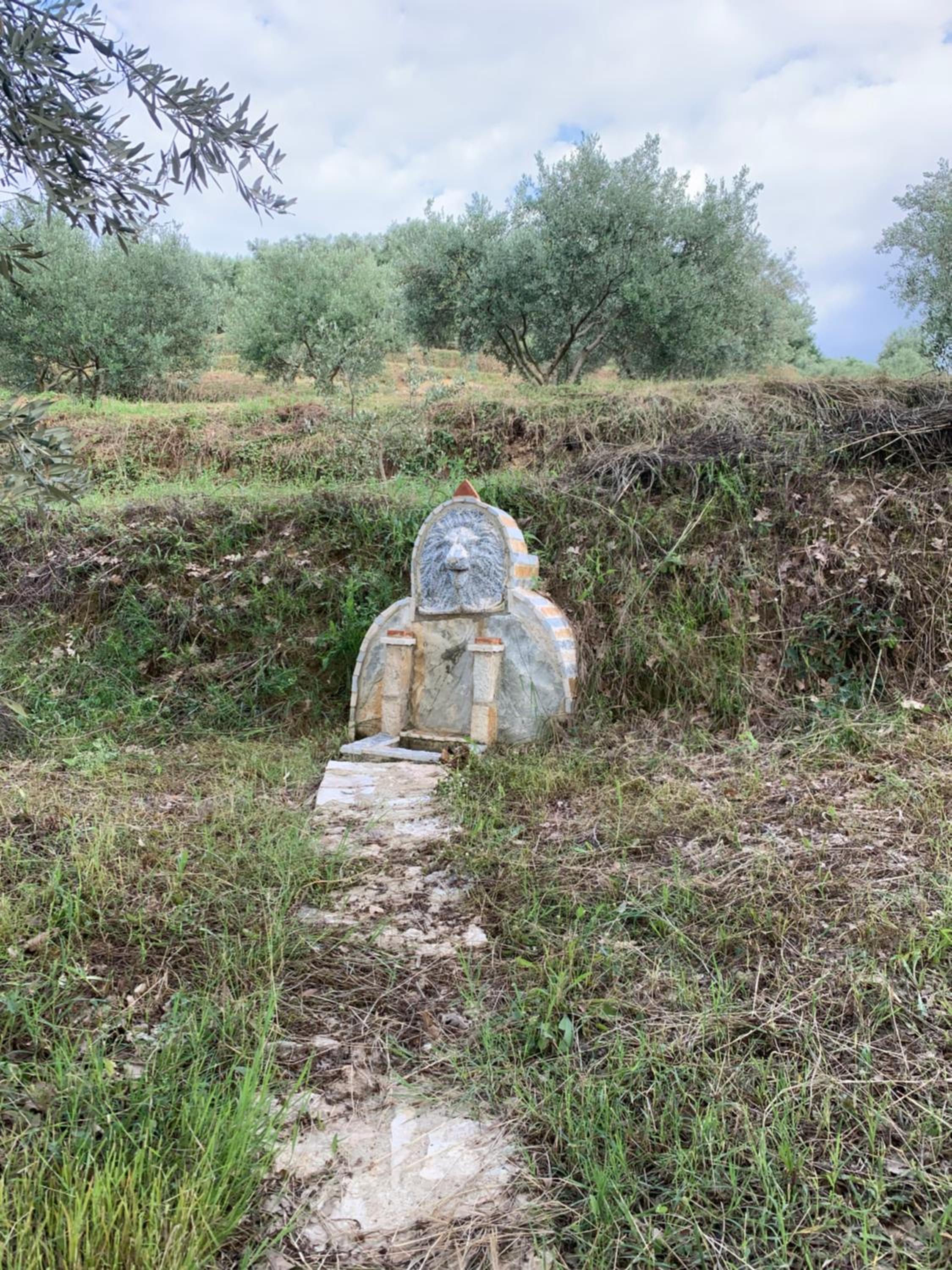 Shehu Villa