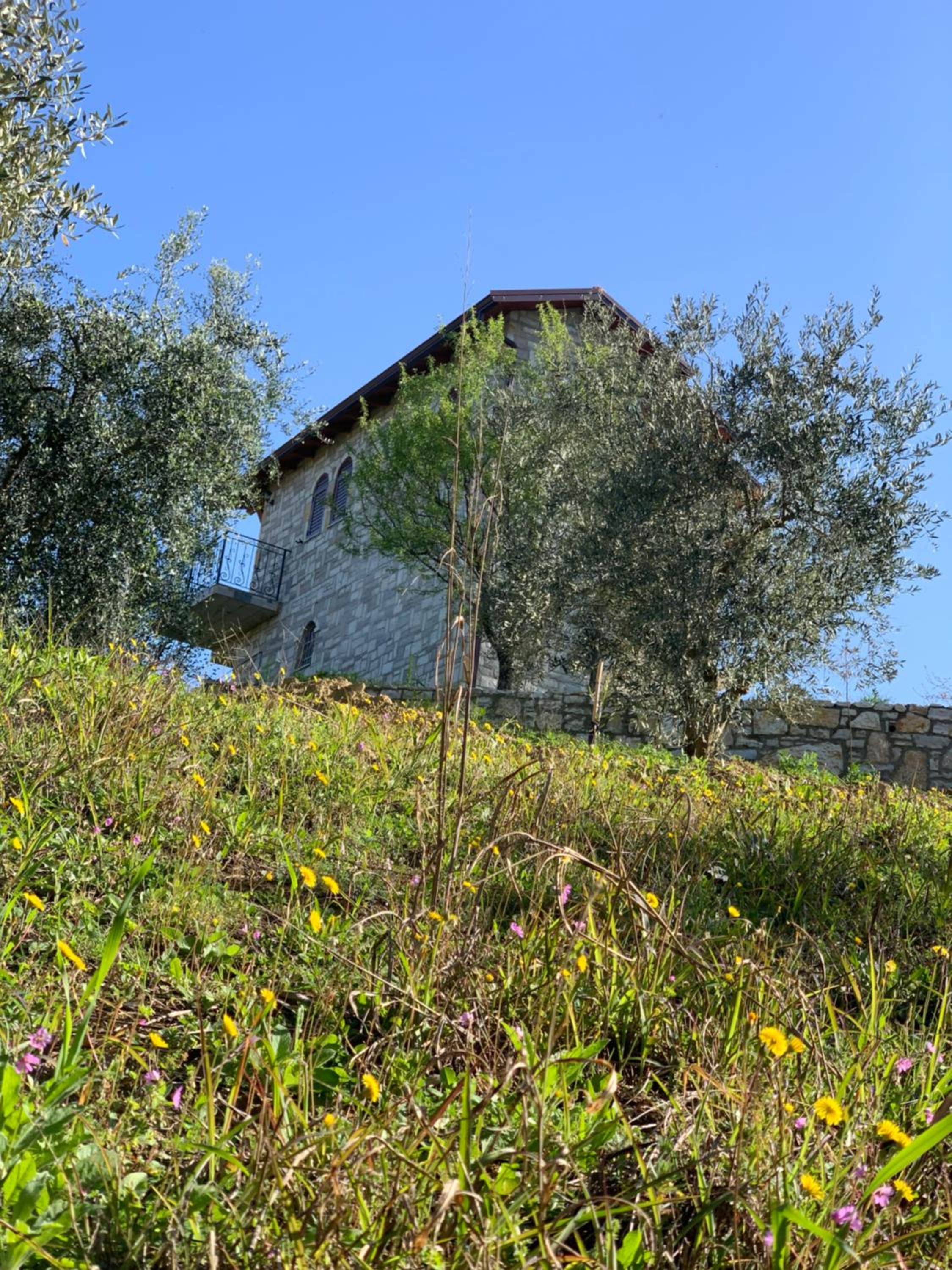 Shehu Villa
