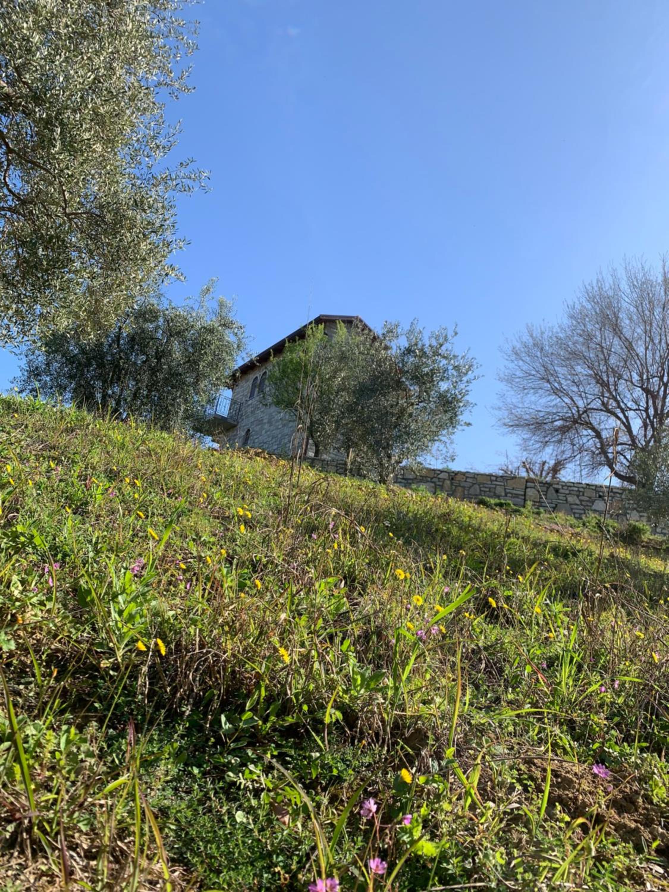 Shehu Villa