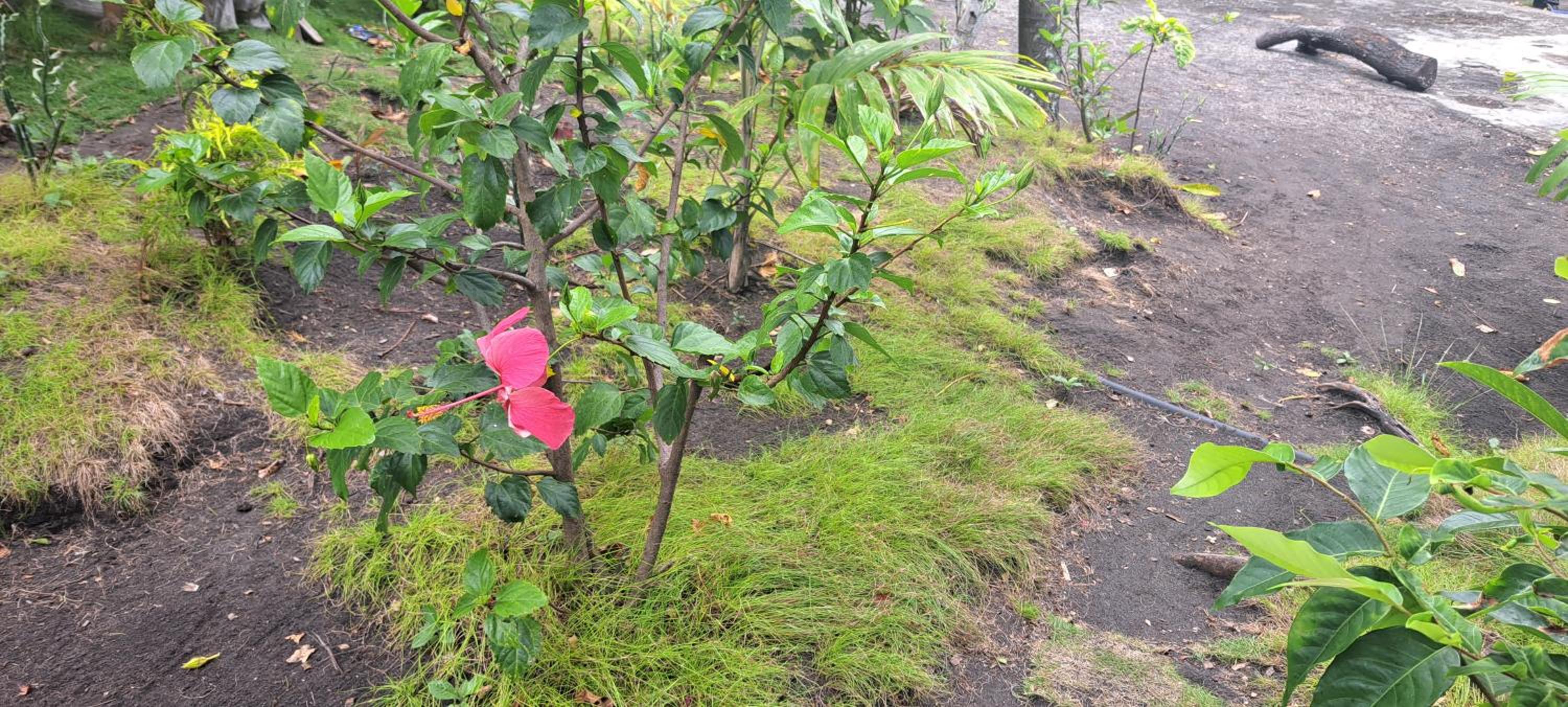 Photo 23