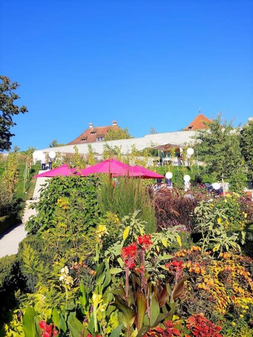 Ferienwohnung Rodtsches Palais 6