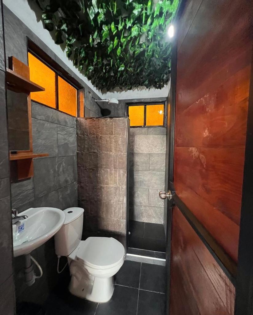 Solarte Hostel