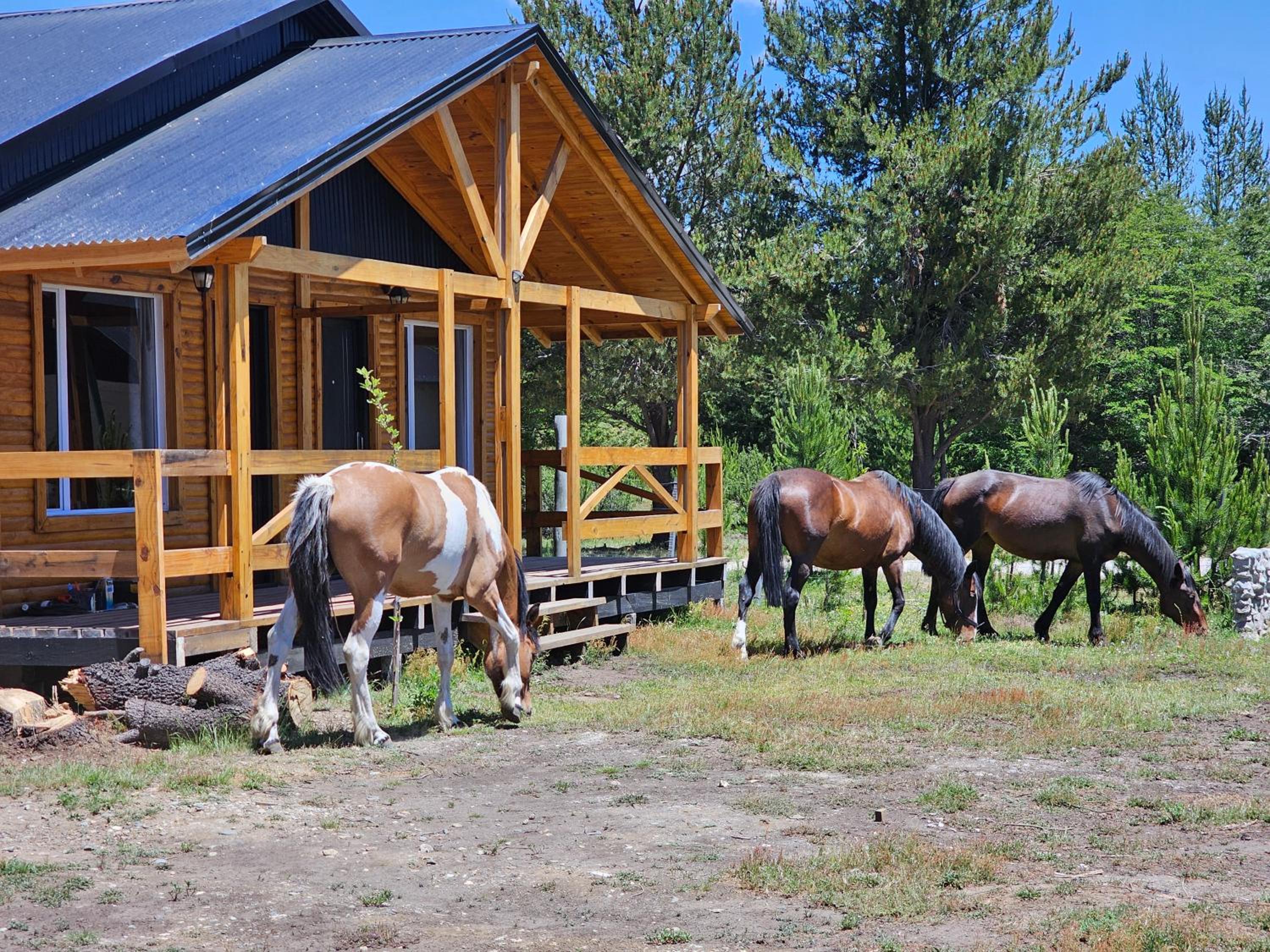 Cabañas Entre Cumbres