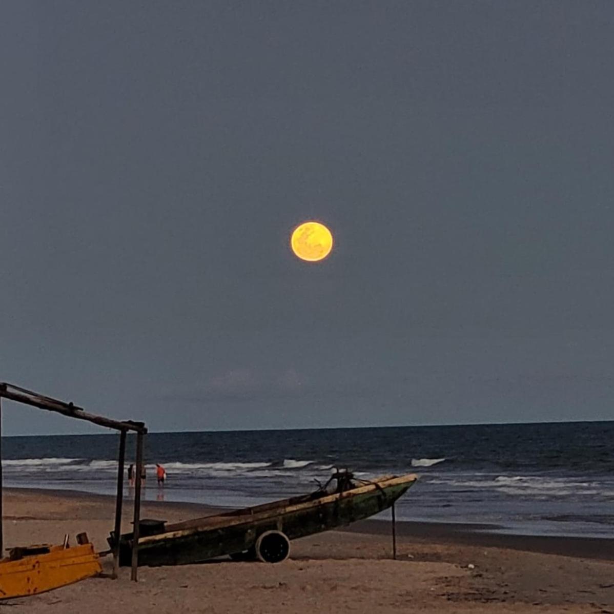 Casa beira mar com piscina Coruripe Povoado Miai de cima