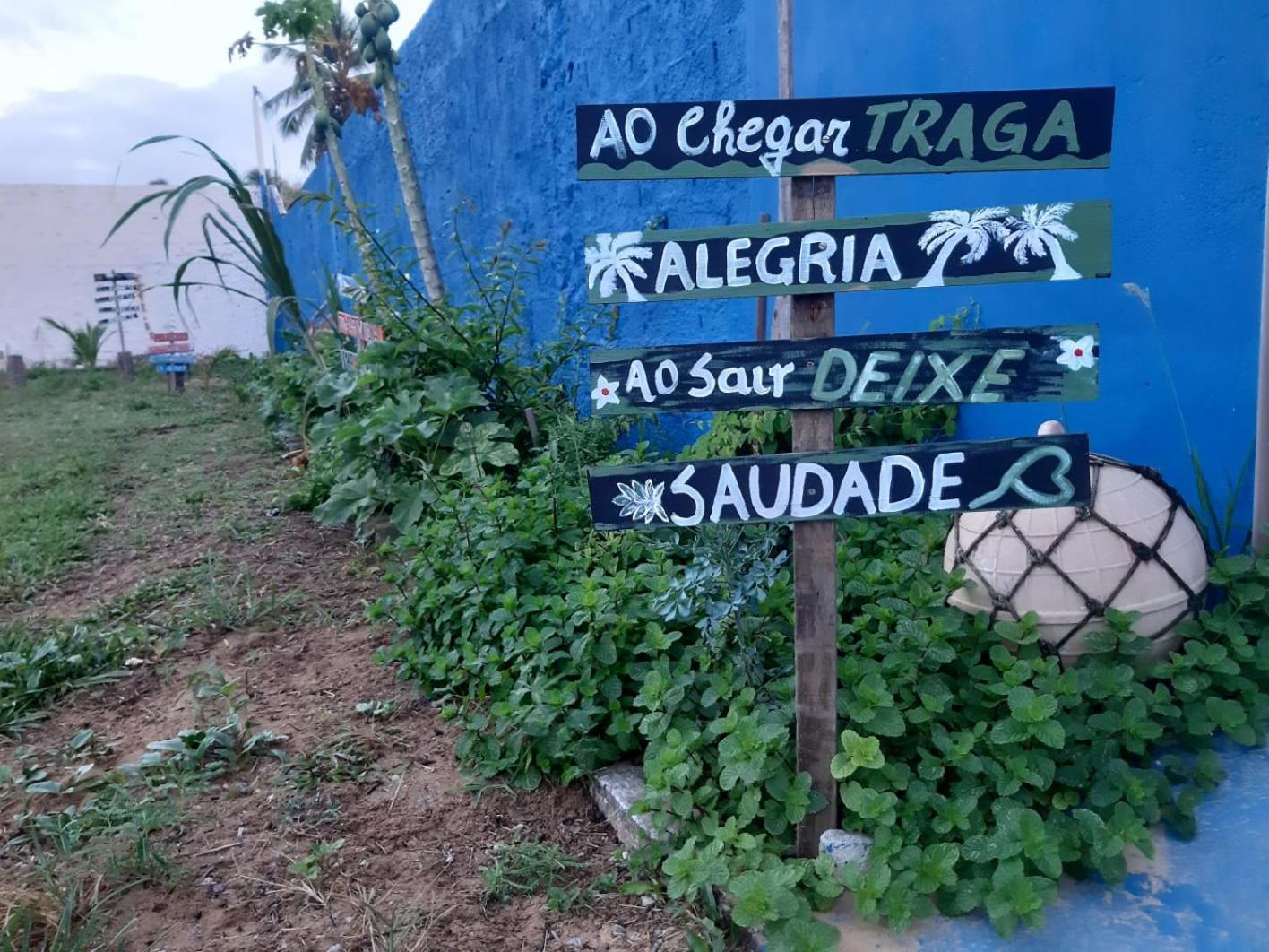 Casa beira mar com piscina Coruripe Povoado Miai de cima